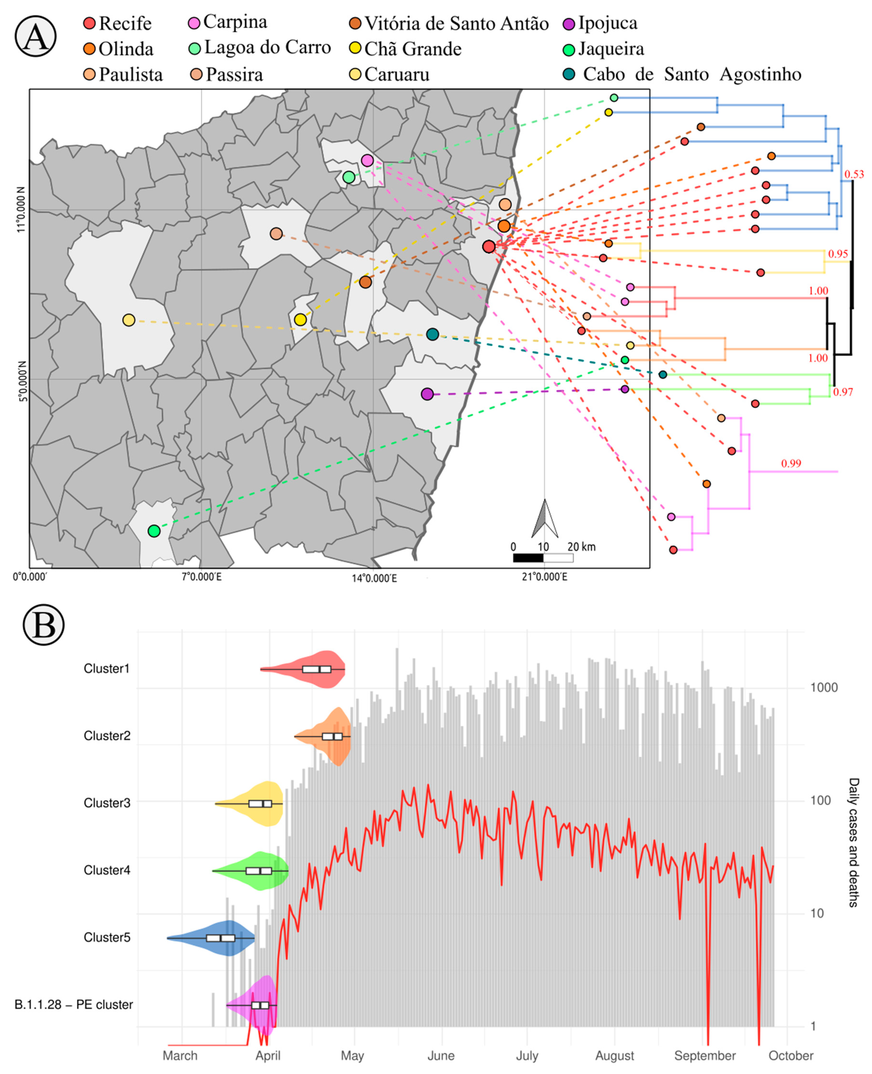 Viruses 12 01414 g005