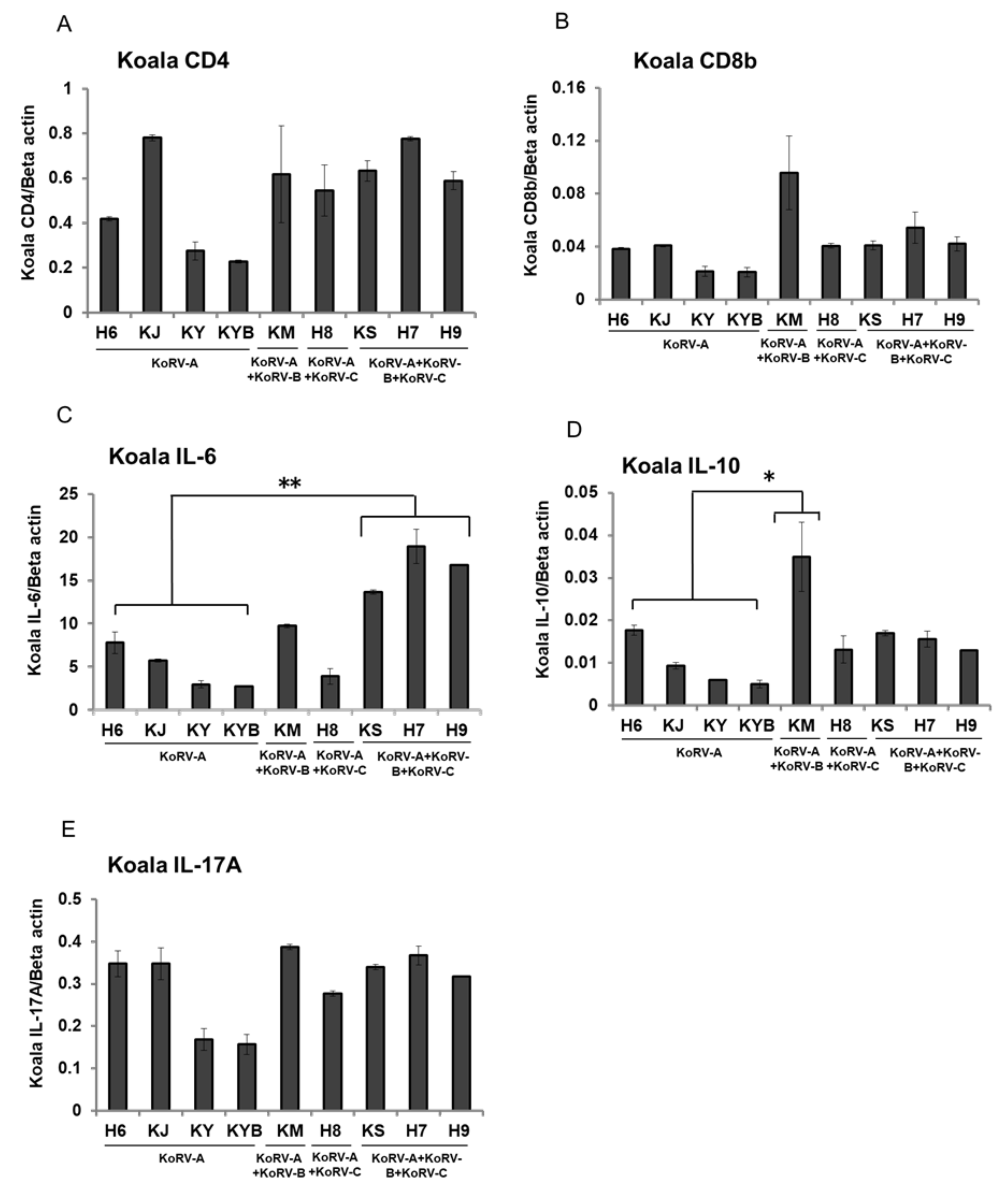 Viruses 12 01415 g001