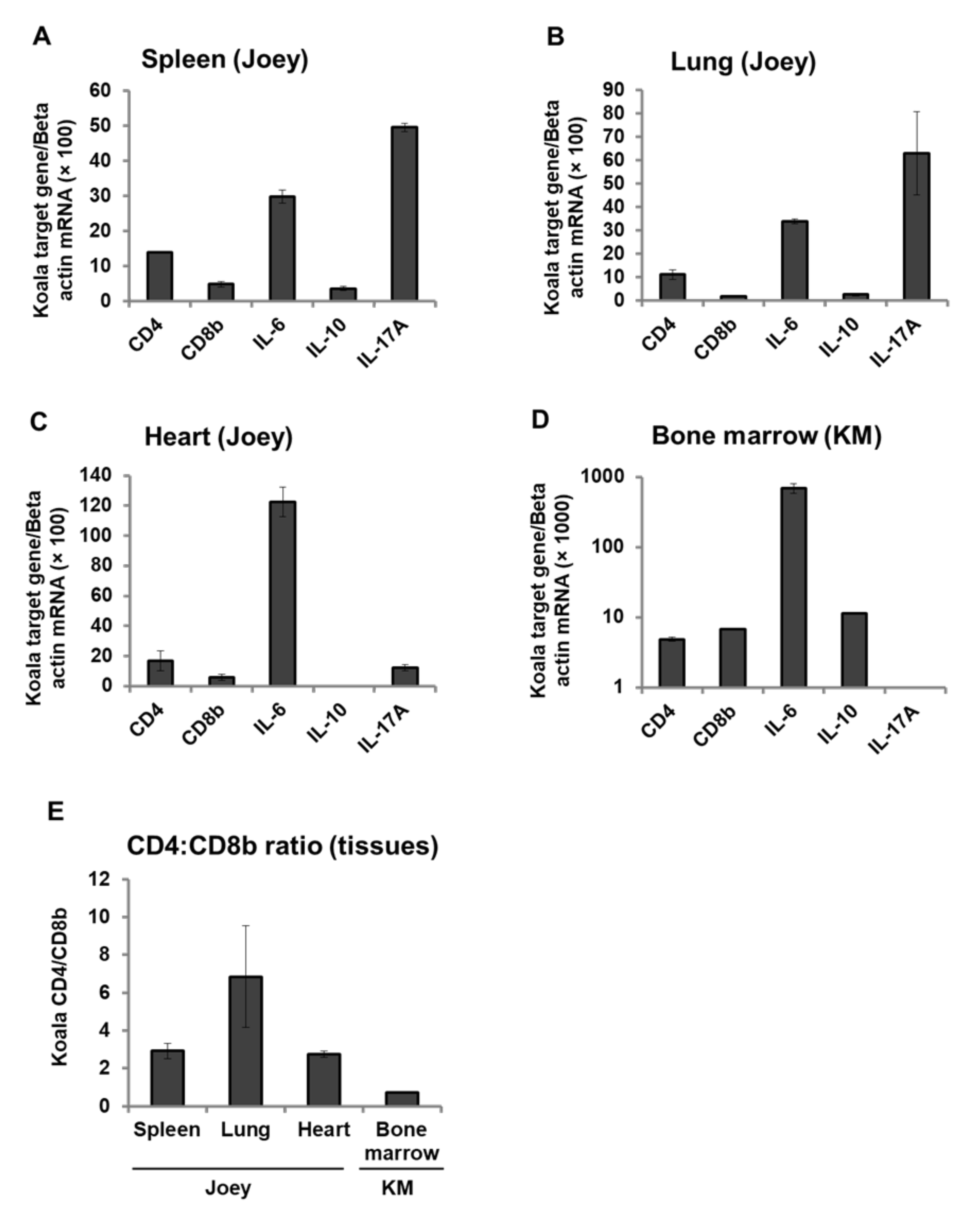 Viruses 12 01415 g004