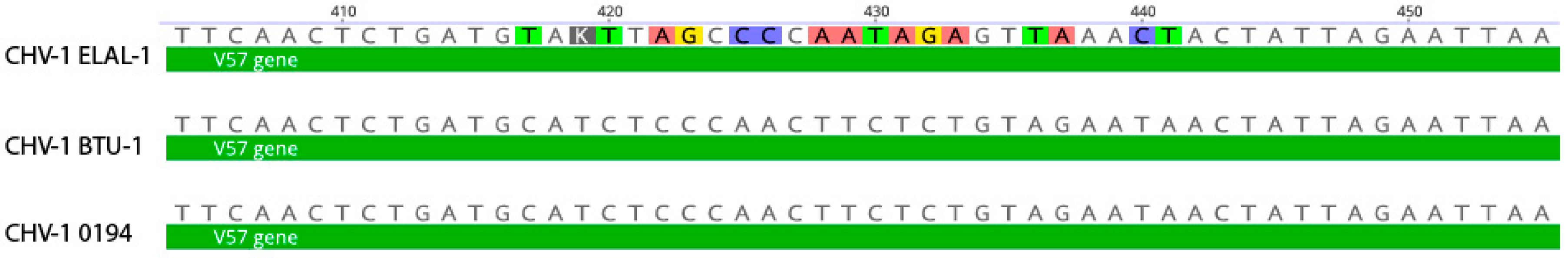 Viruses 12 01421 g004 Viruses 12 01421 g004