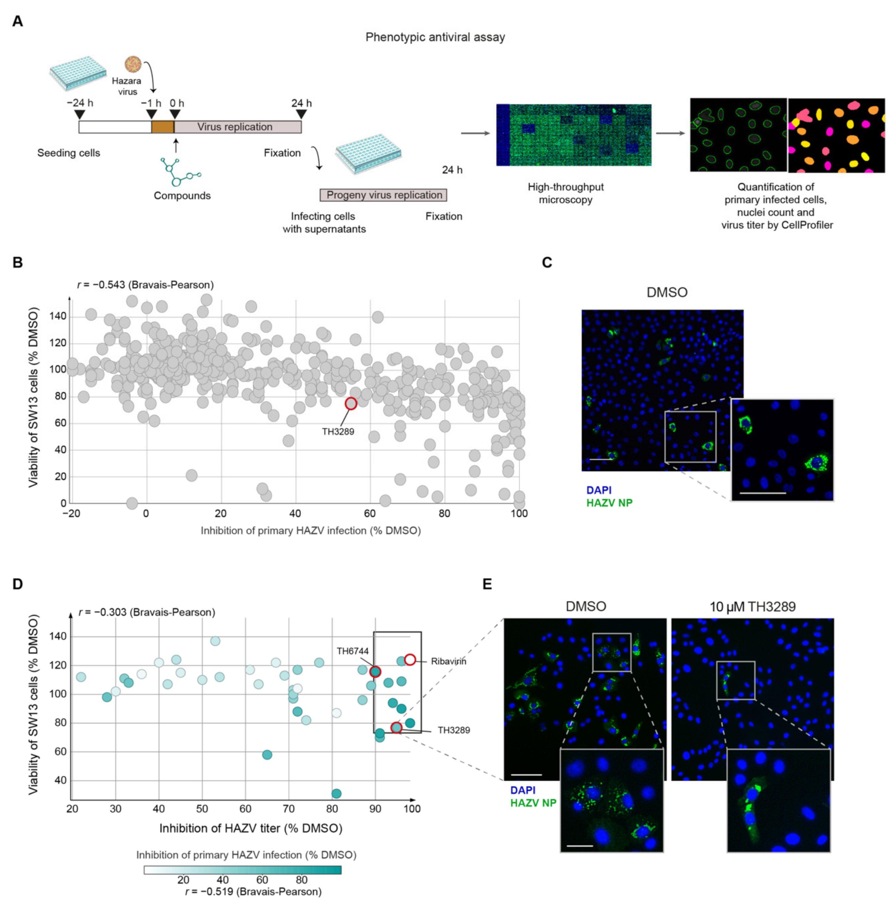 Viruses 12 01423 g001