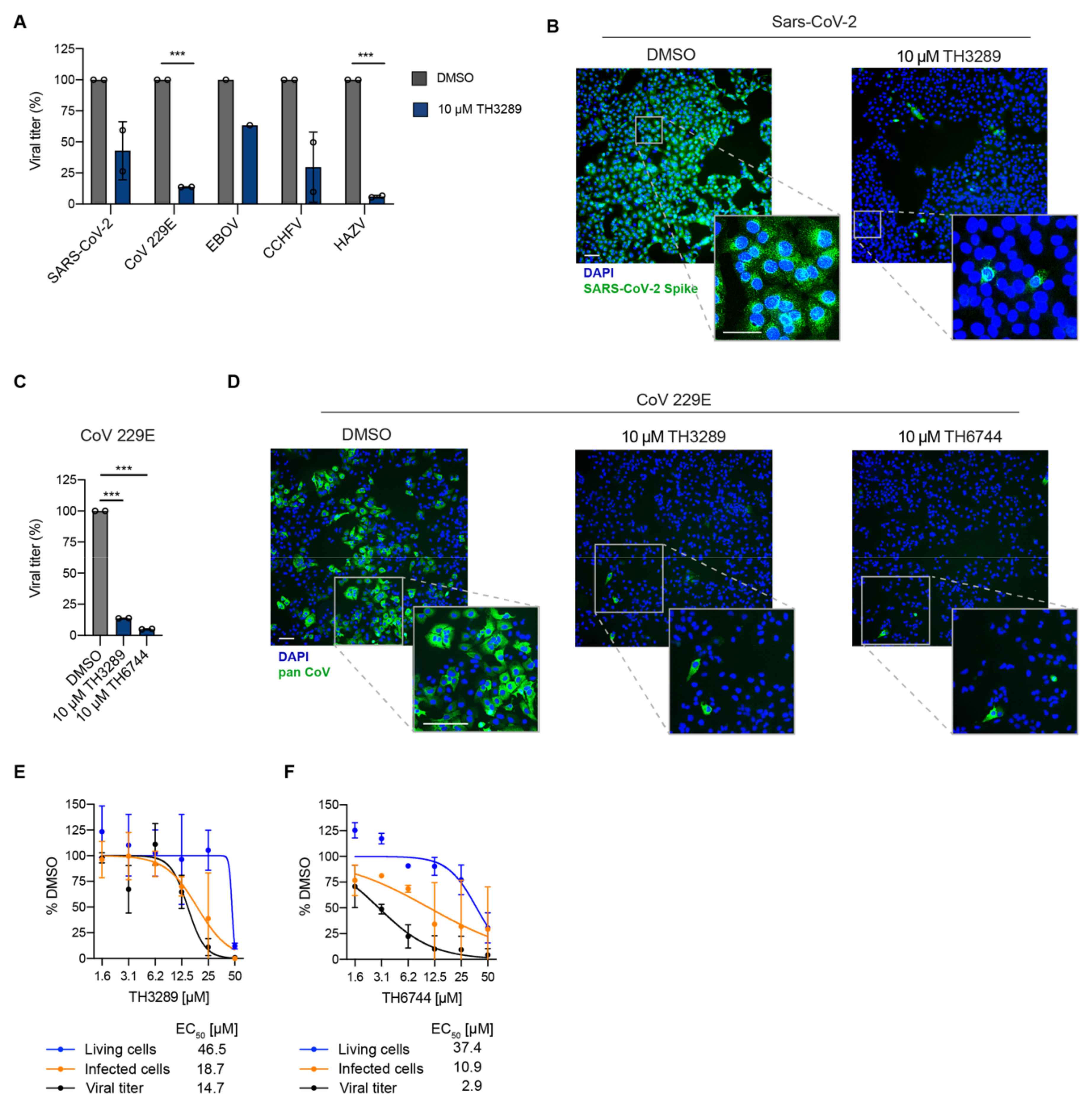 Viruses 12 01423 g002