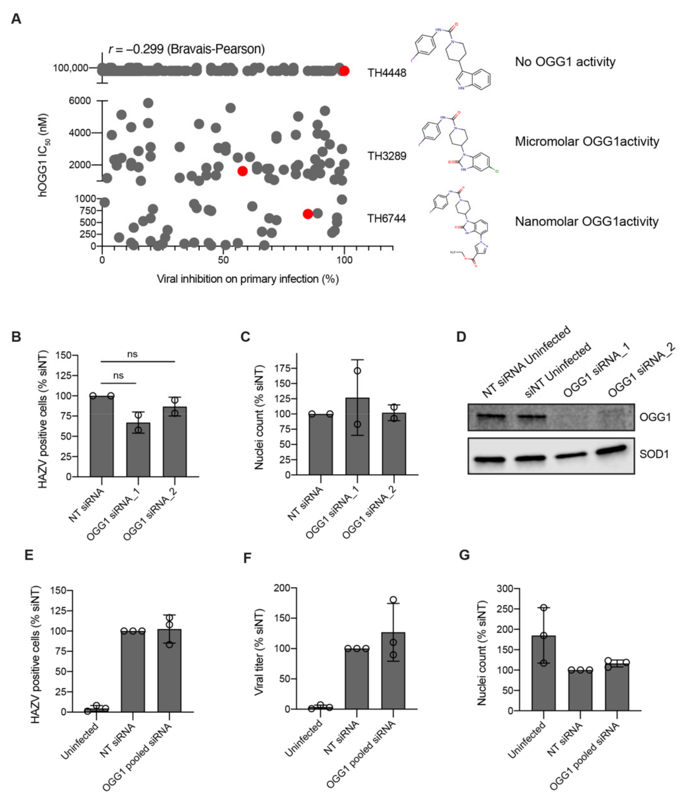 Viruses 12 01423 g003