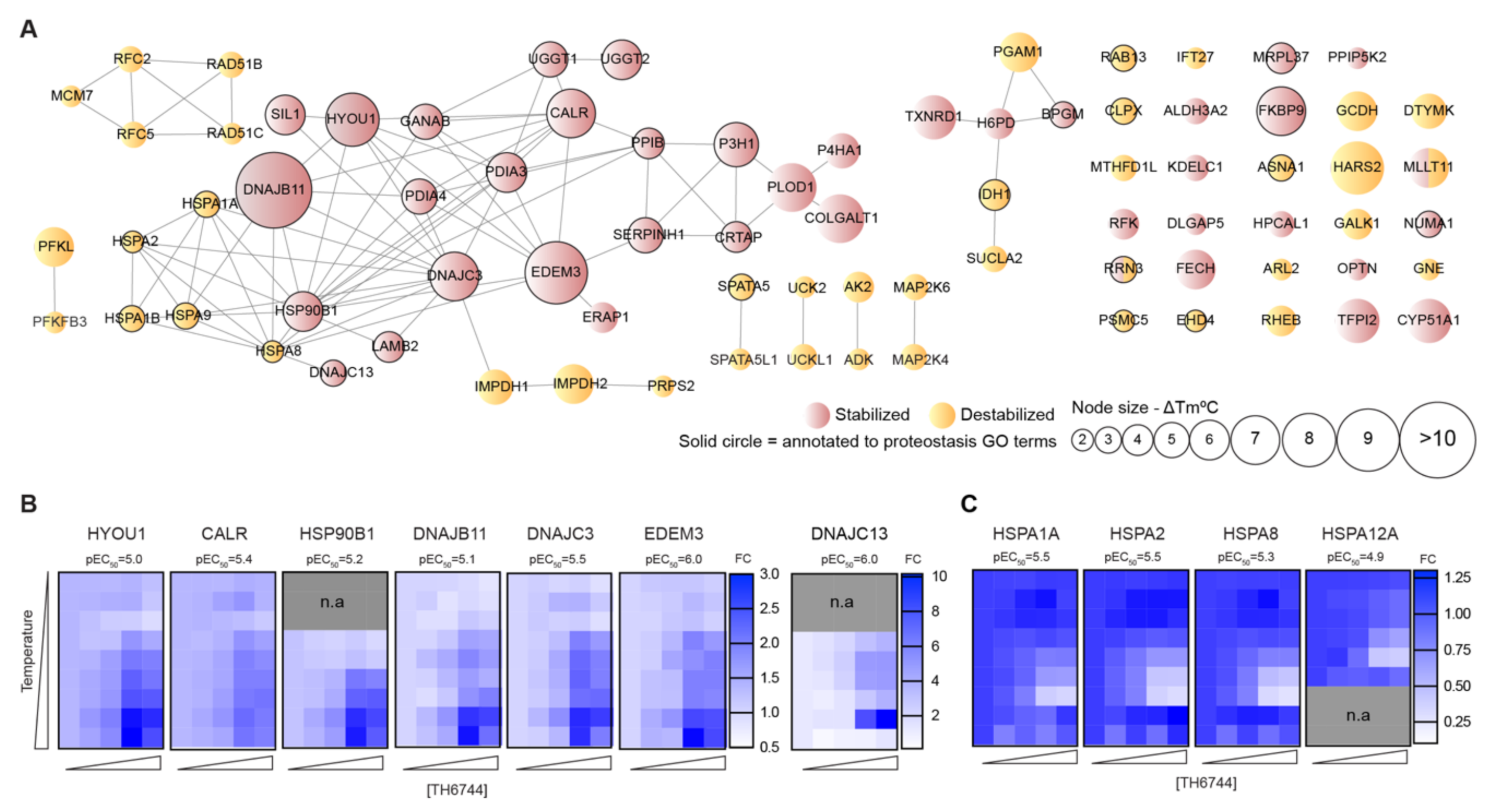Viruses 12 01423 g005