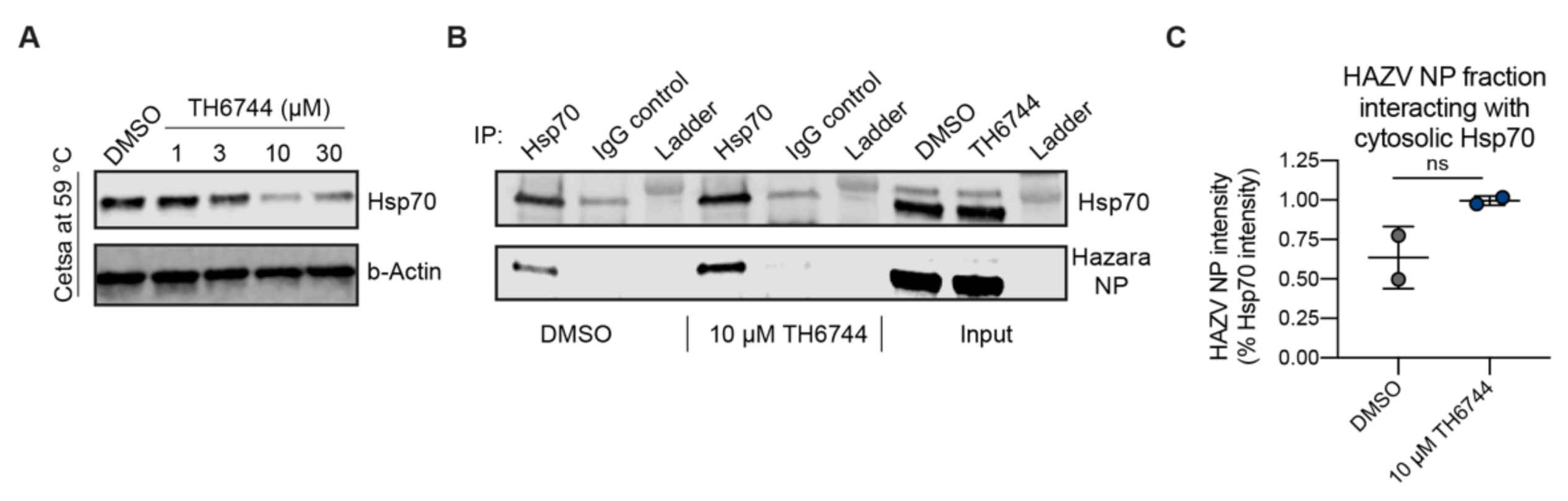 Viruses 12 01423 g006