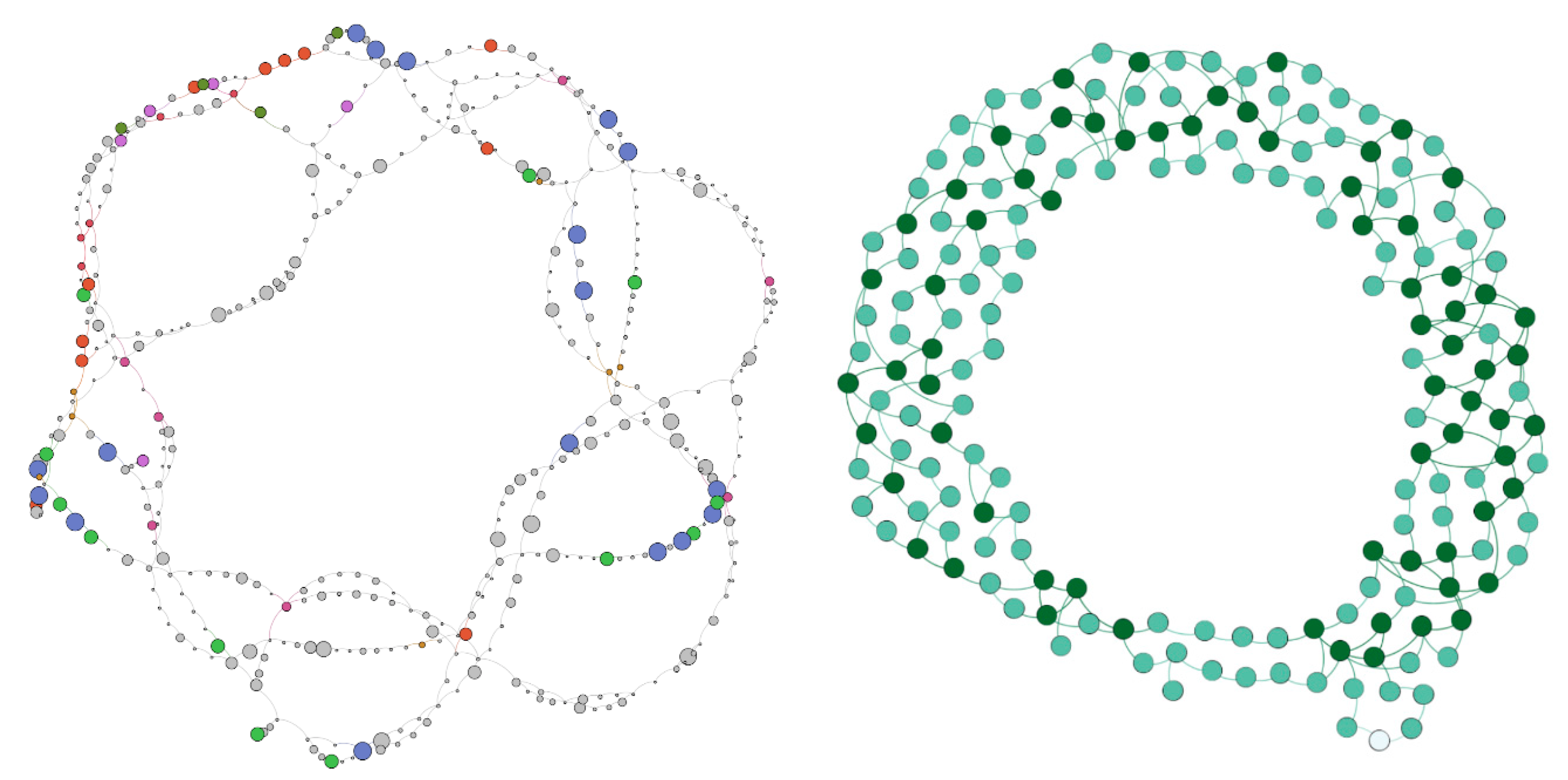 Viruses 12 01424 g004