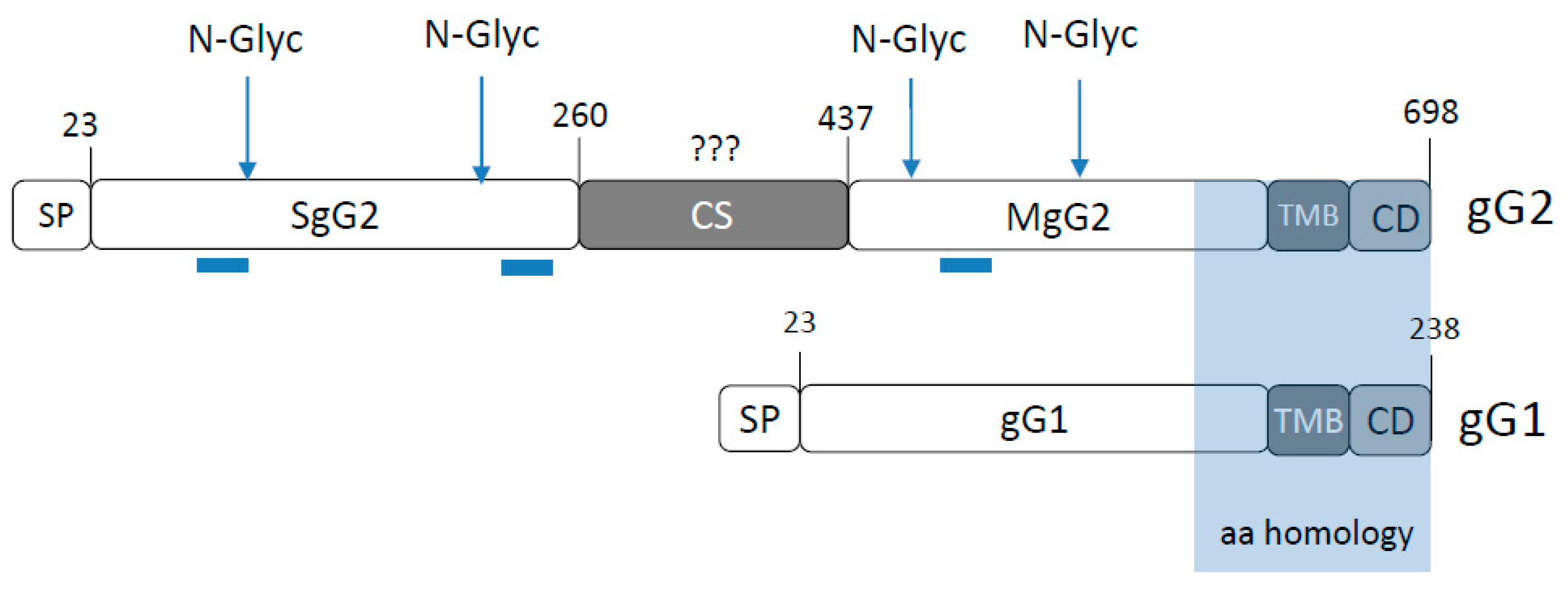 Viruses 12 01428 g001 Viruses 12 01428 g001
