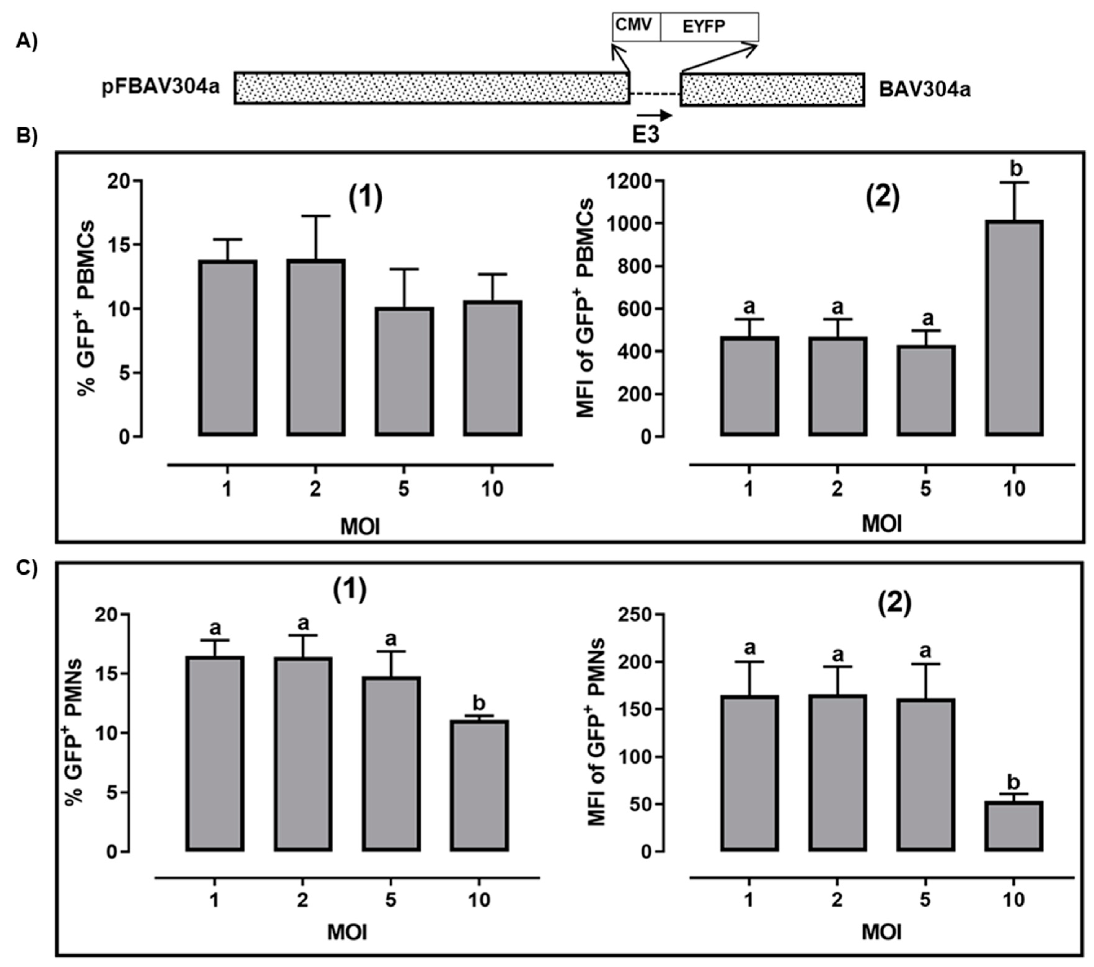 Viruses 12 01431 g001