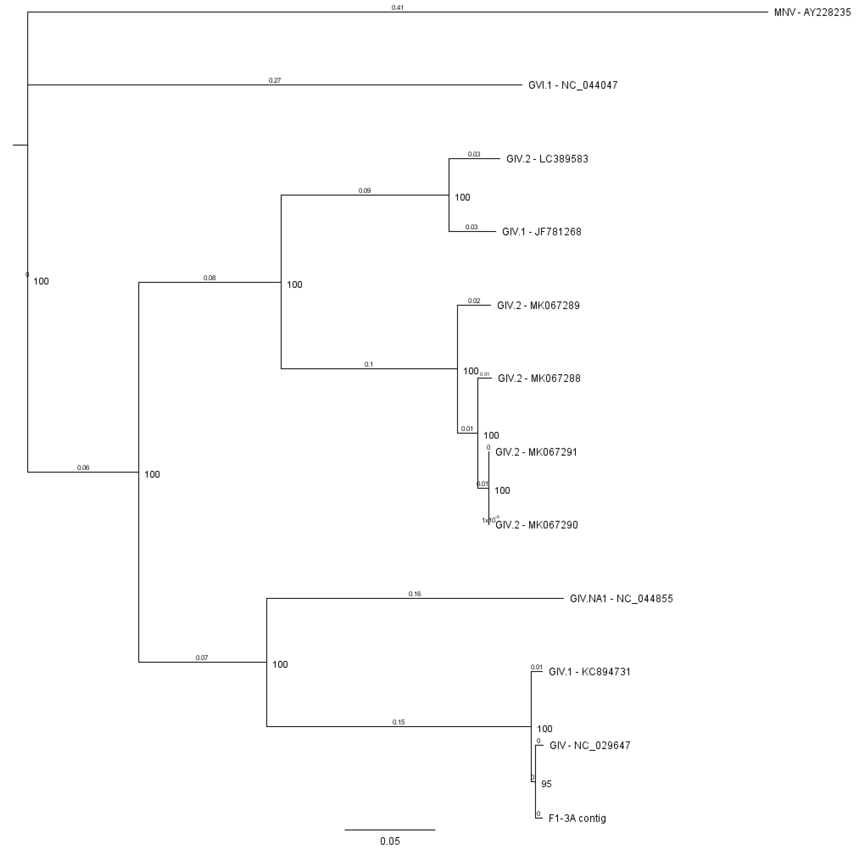 Viruses 12 01432 g002