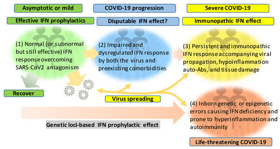 Viruses 12 01433 g002 550