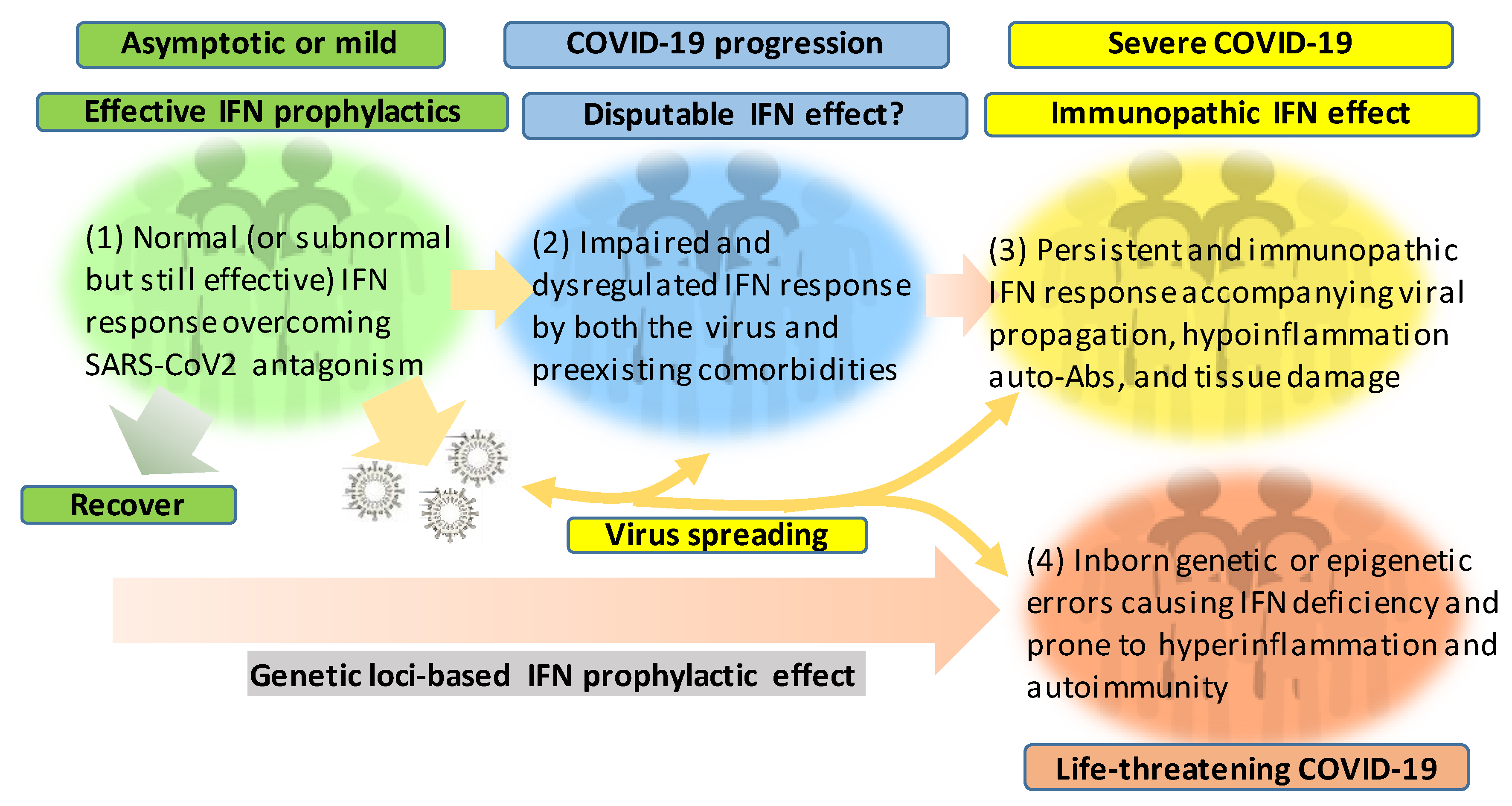 Viruses 12 01433 g002