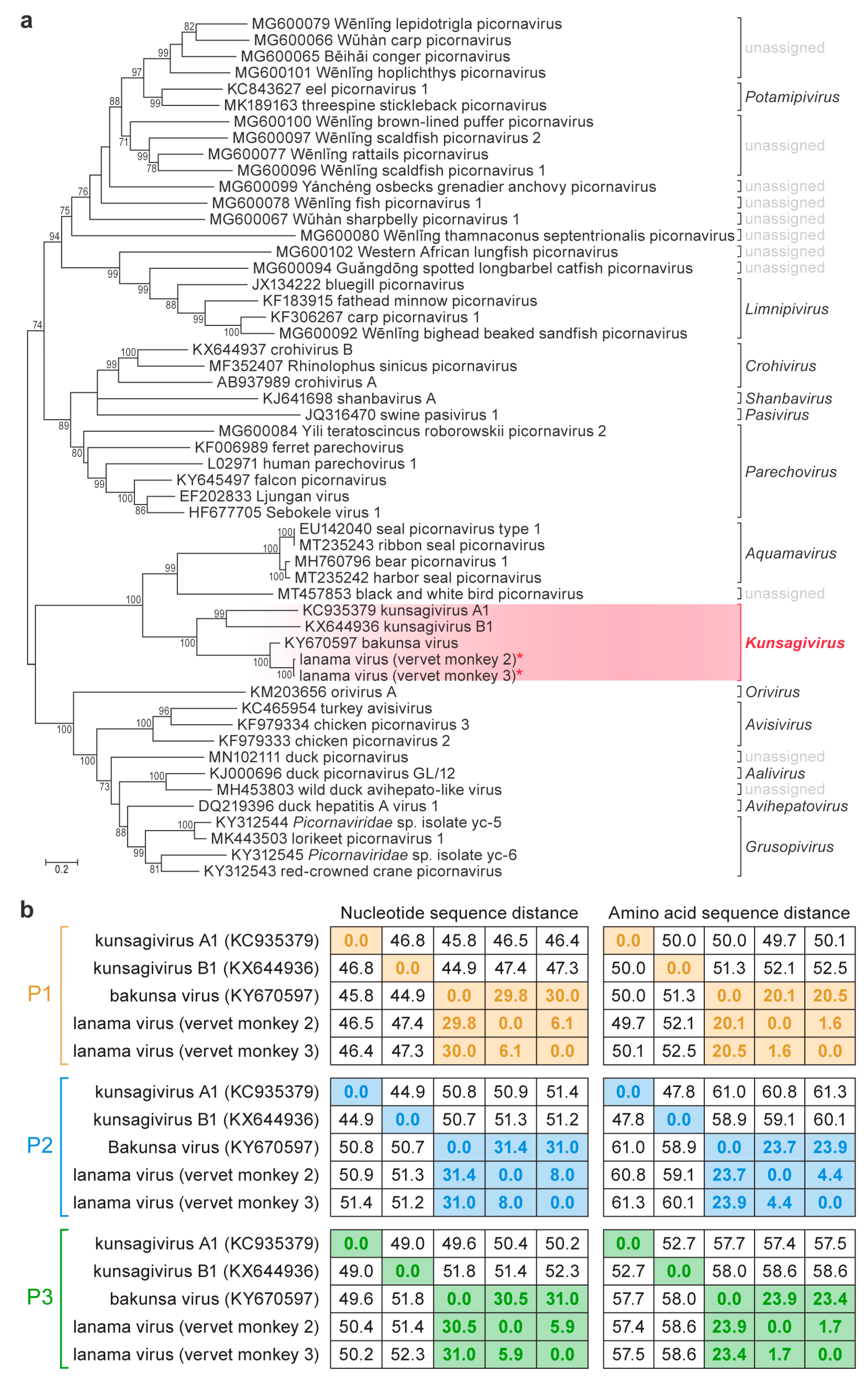 Viruses 12 01436 g002 Viruses 12 01436 g002