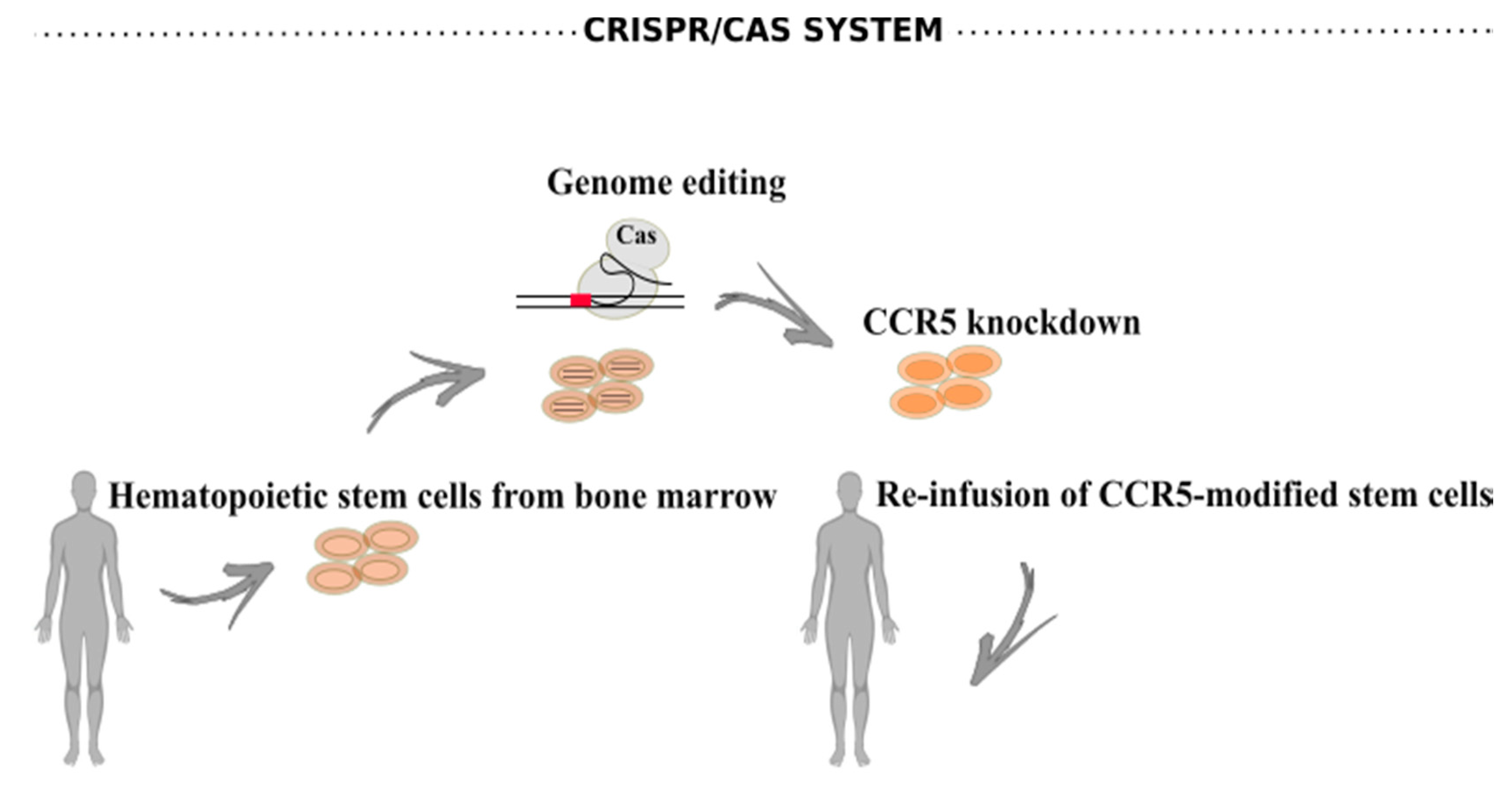 Viruses 12 01443 g005