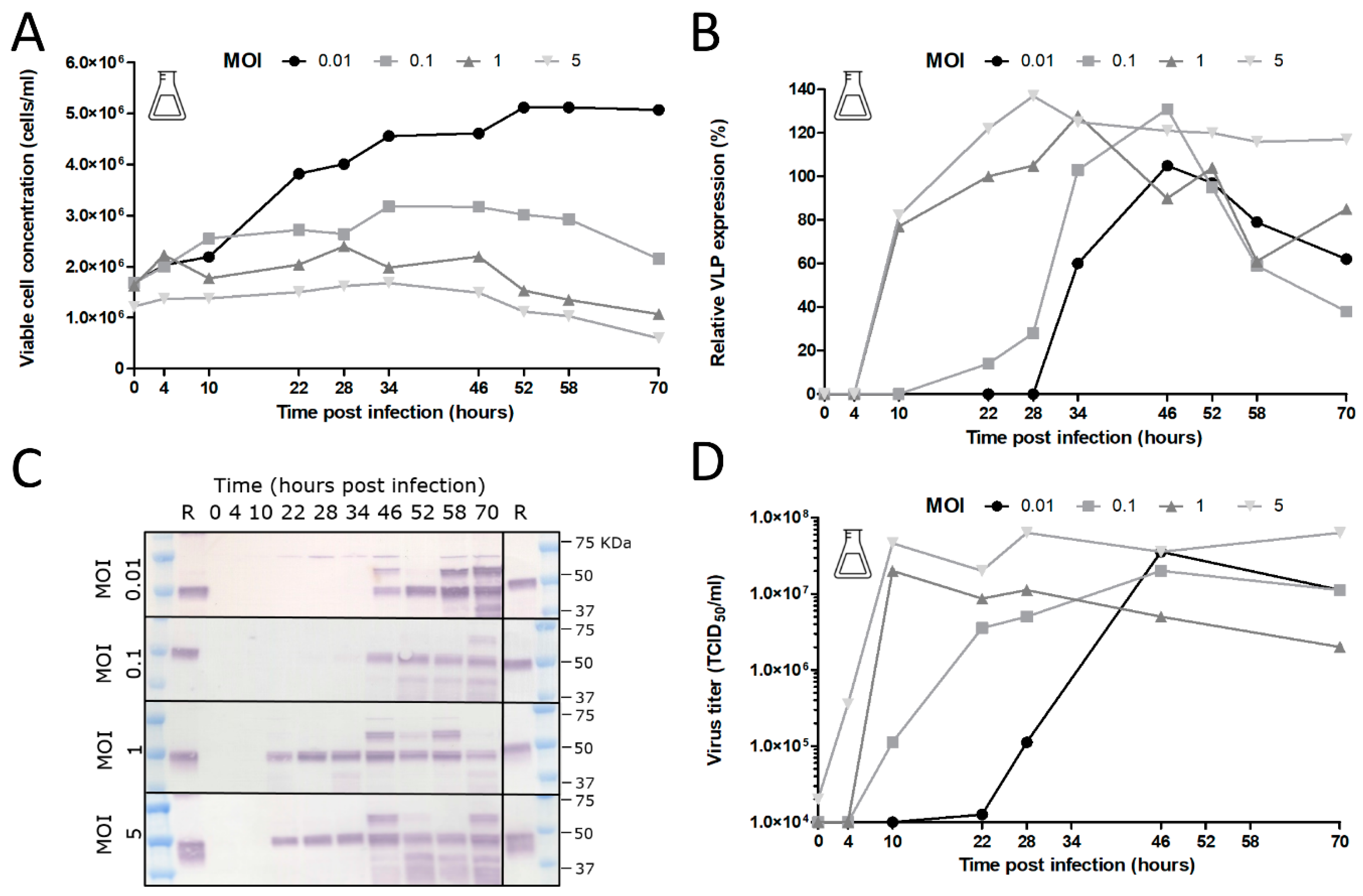 Viruses 12 01448 g007