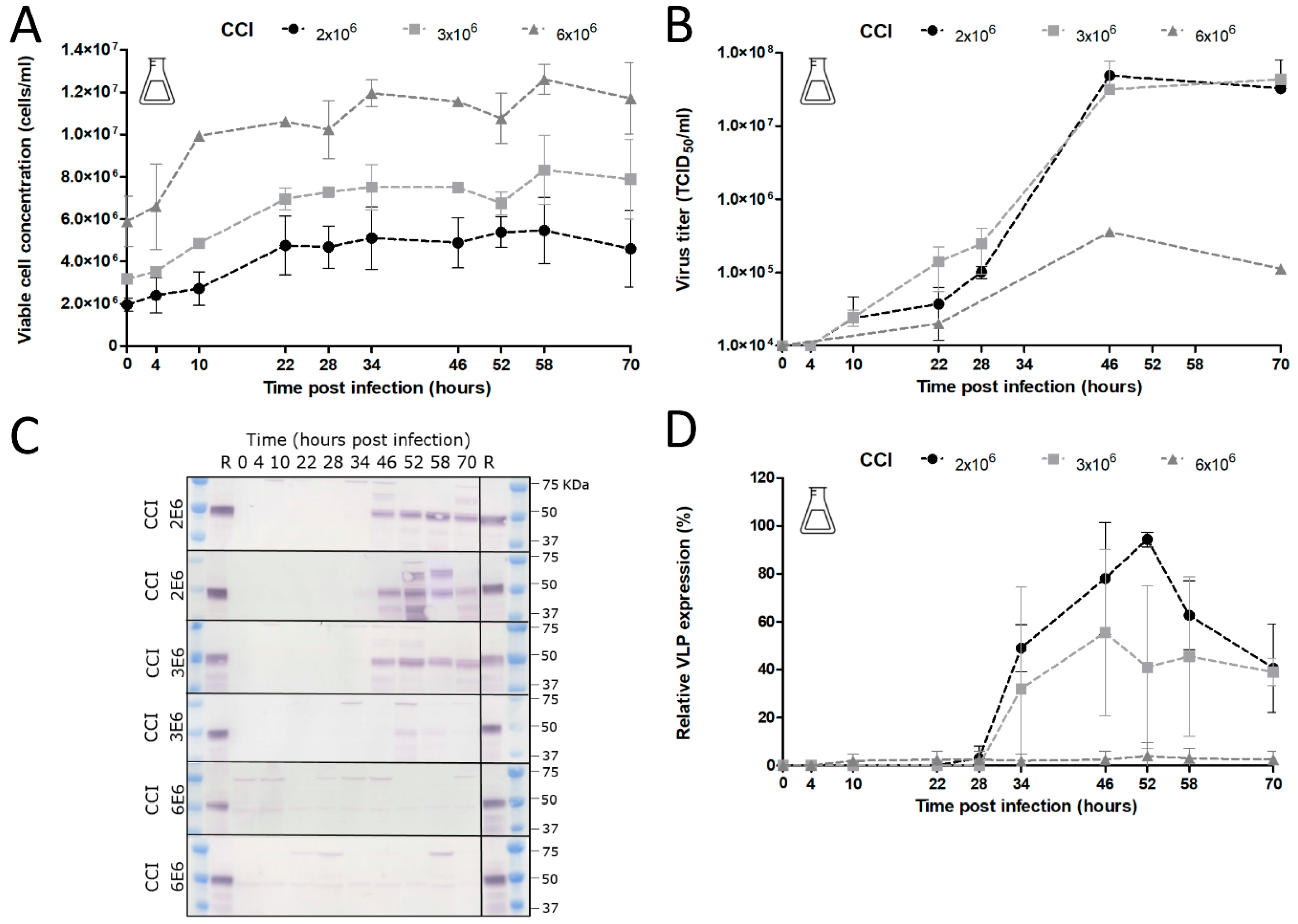 Viruses 12 01448 g008