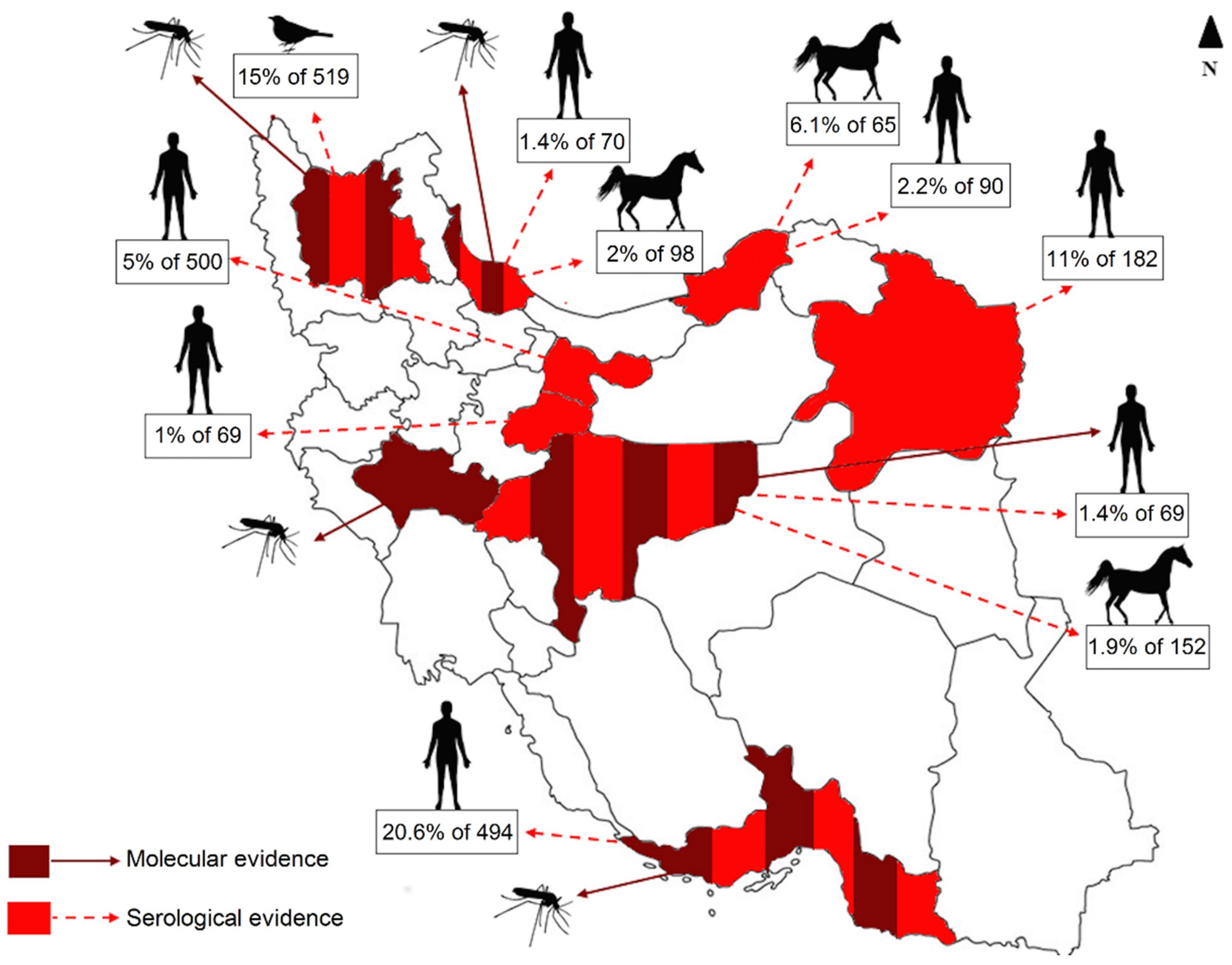 Viruses 12 01449 g006