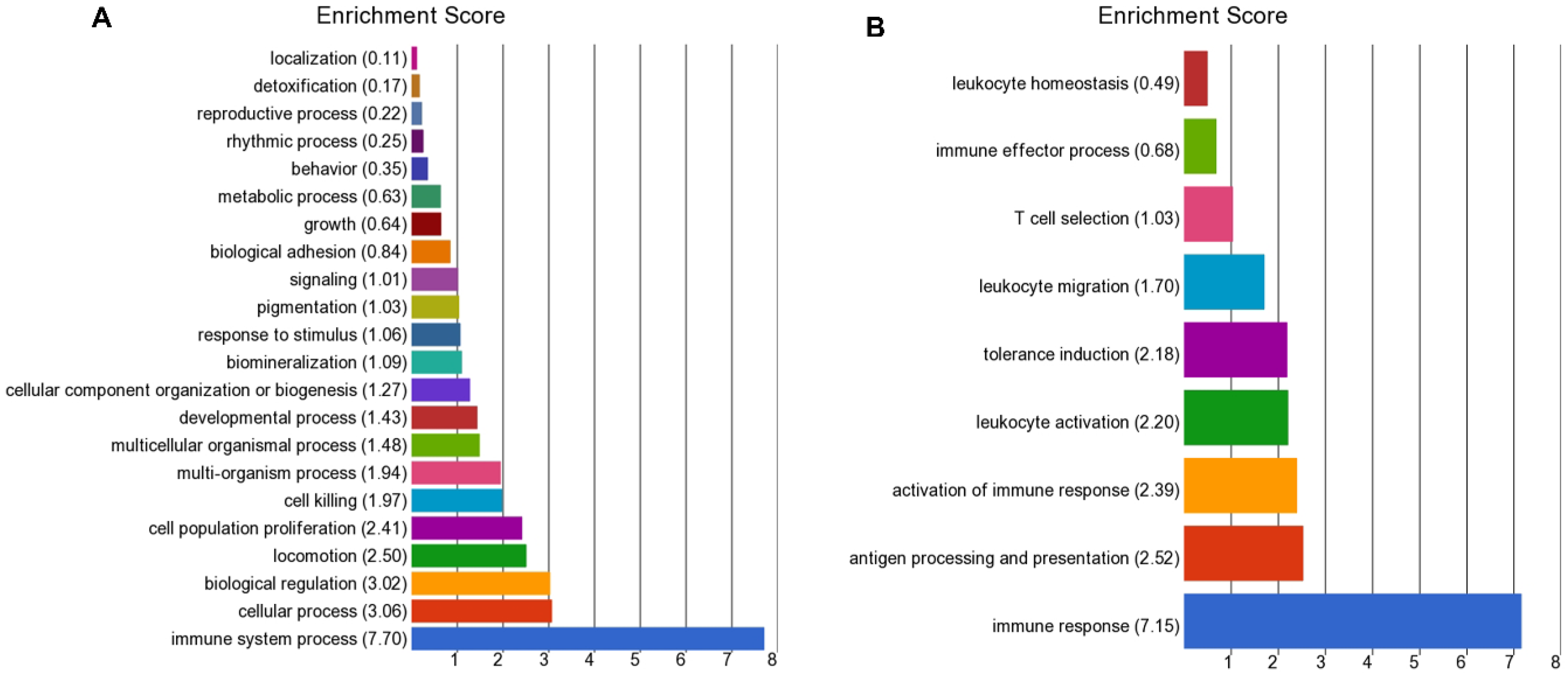 Viruses 12 01451 g003