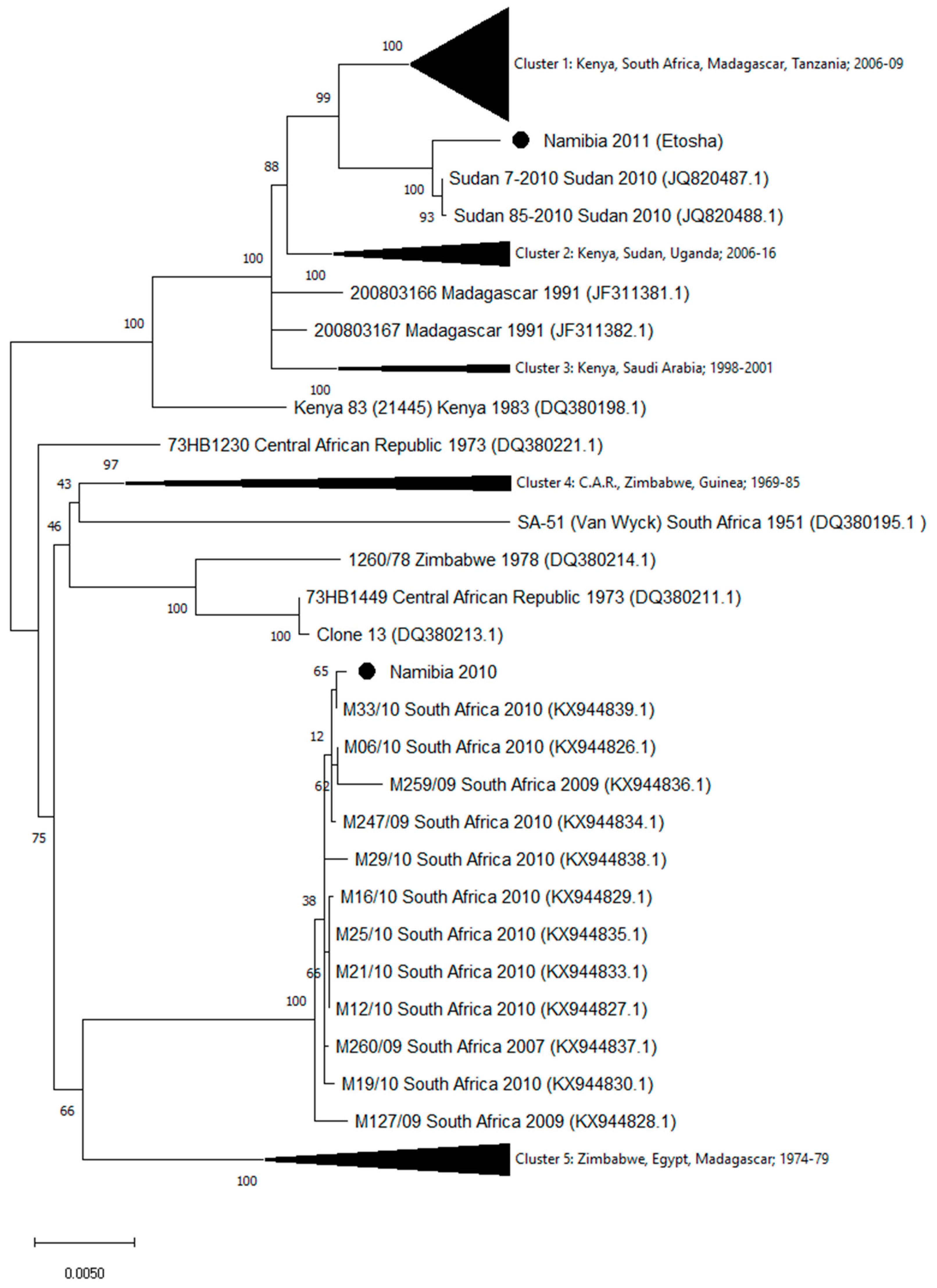 Viruses 12 01453 g002