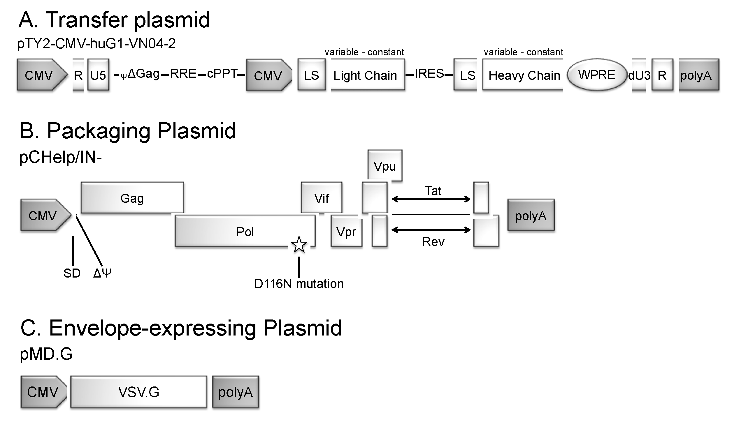 Viruses 12 01460 g001 Viruses 12 01460 g001