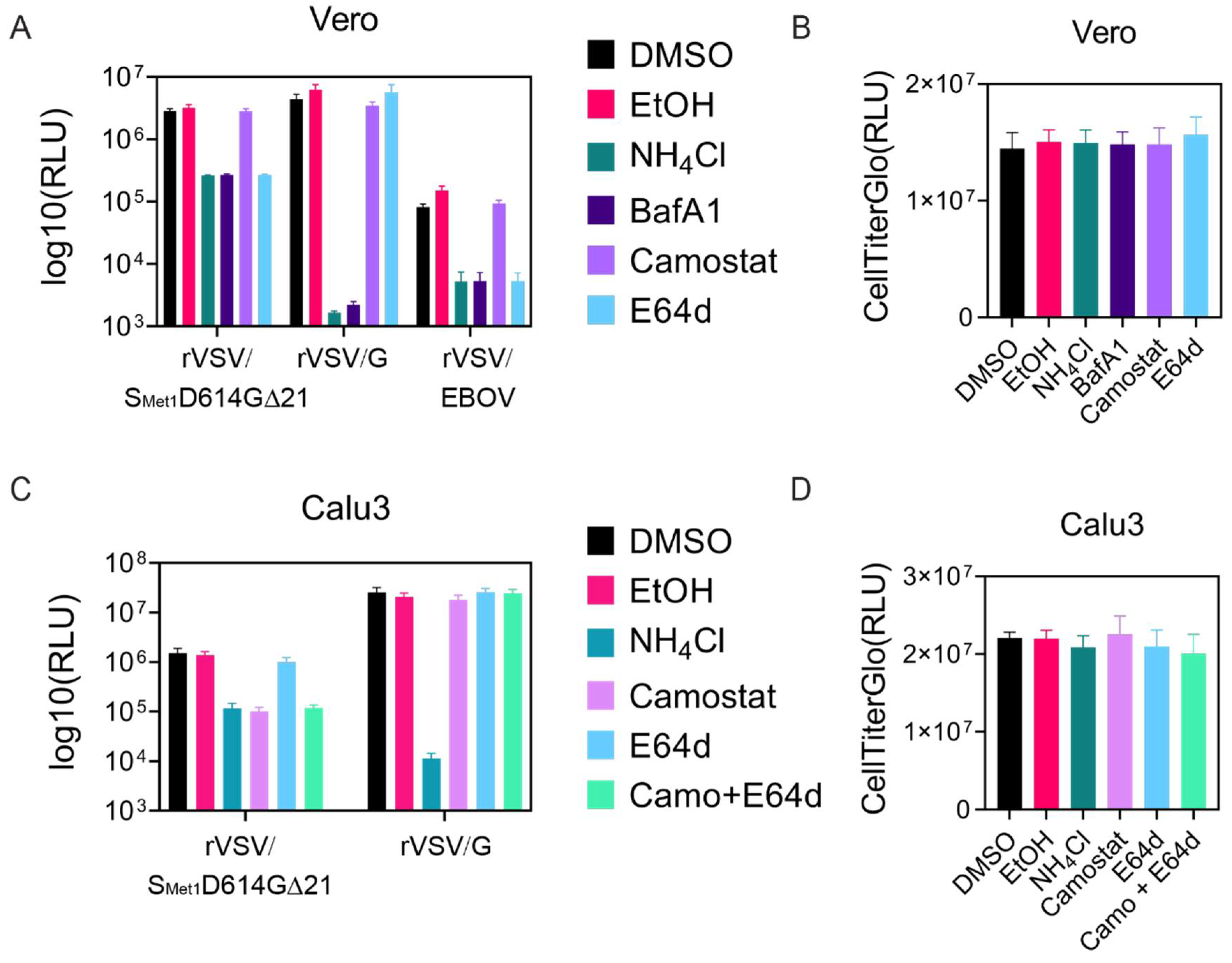 Viruses 12 01465 g005