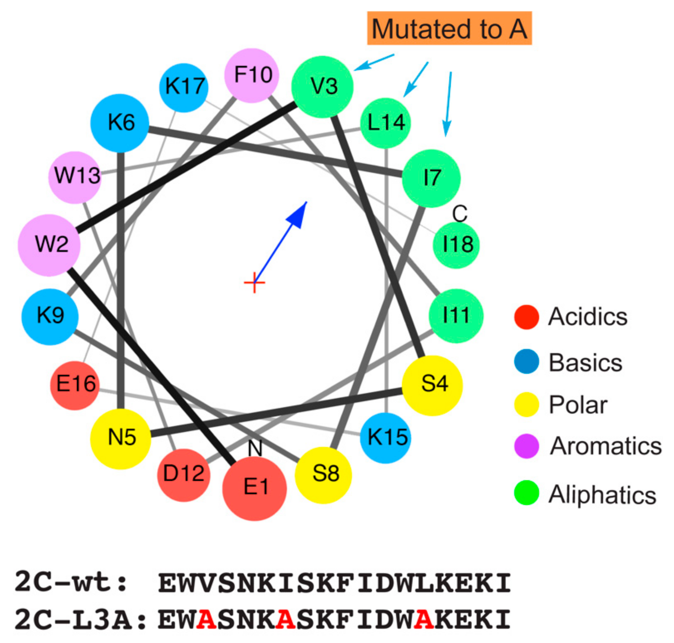 Viruses Free FullText An Amphipathic AlphaHelix Domain from Poliovirus 2C Protein Tubulate