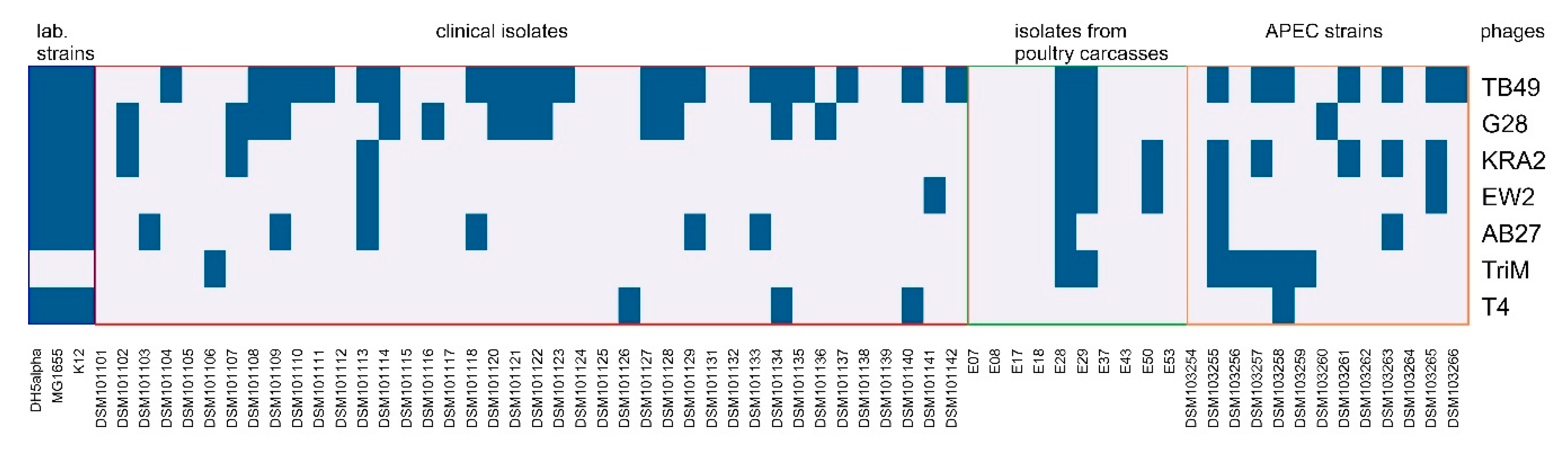 Viruses 12 01470 g002 Viruses 12 01470 g002