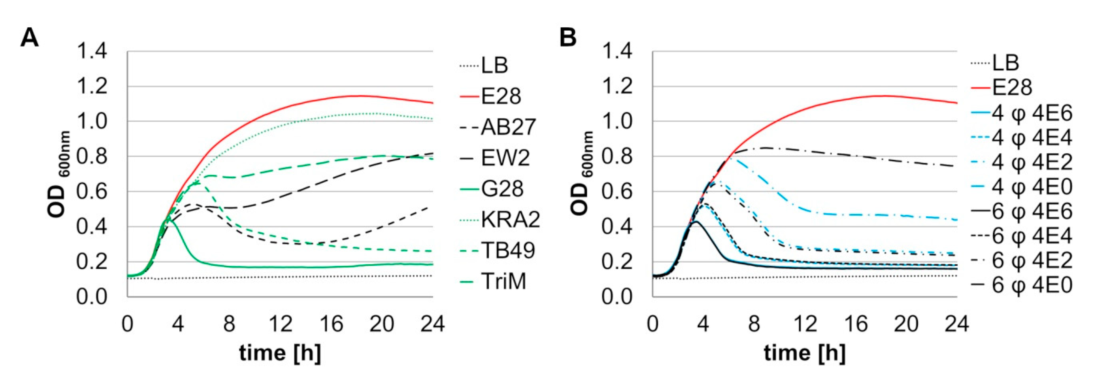 Viruses 12 01470 g003 Viruses 12 01470 g003
