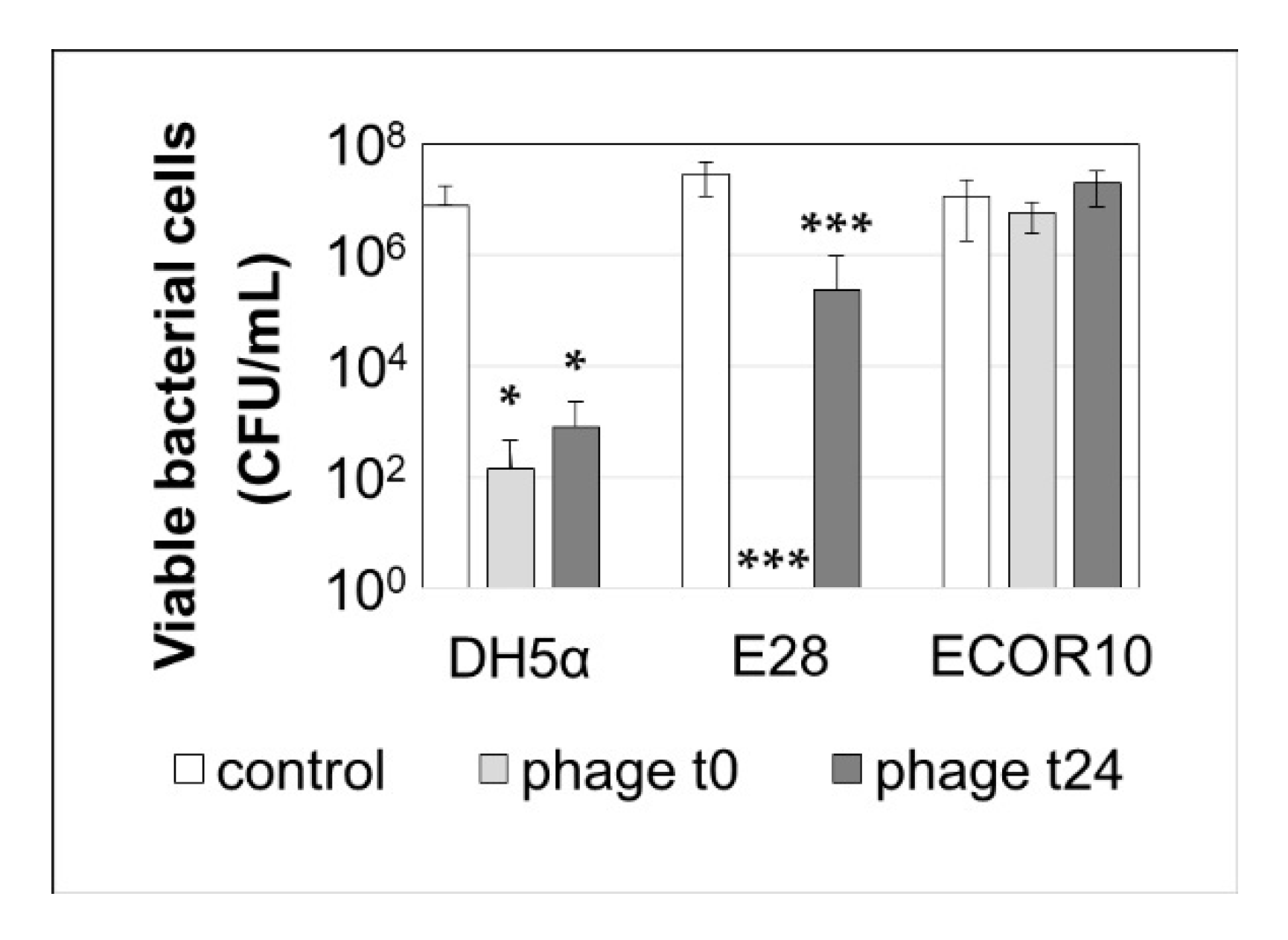 Viruses 12 01470 g004 Viruses 12 01470 g004