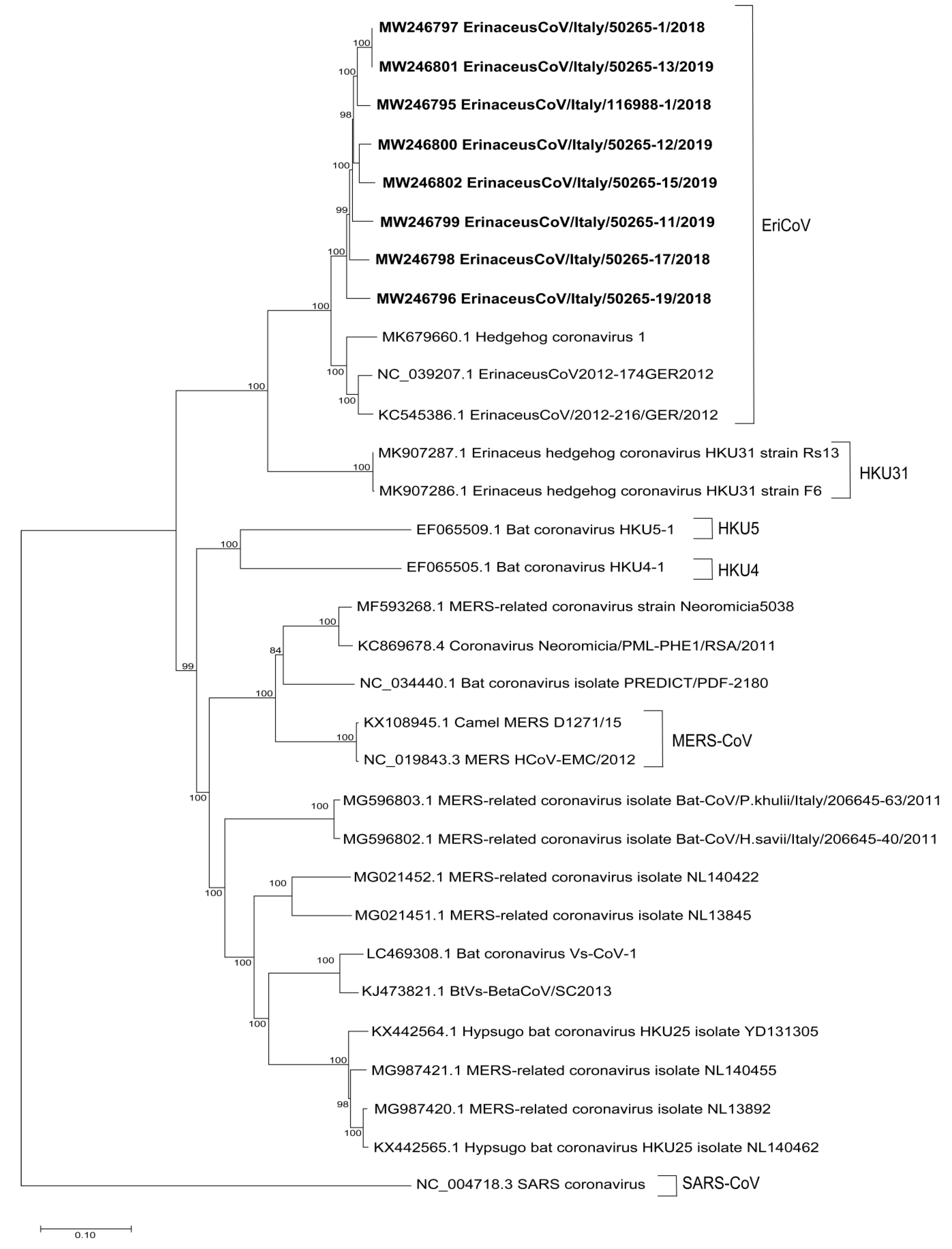 Viruses 12 01471 g001 Viruses 12 01471 g001