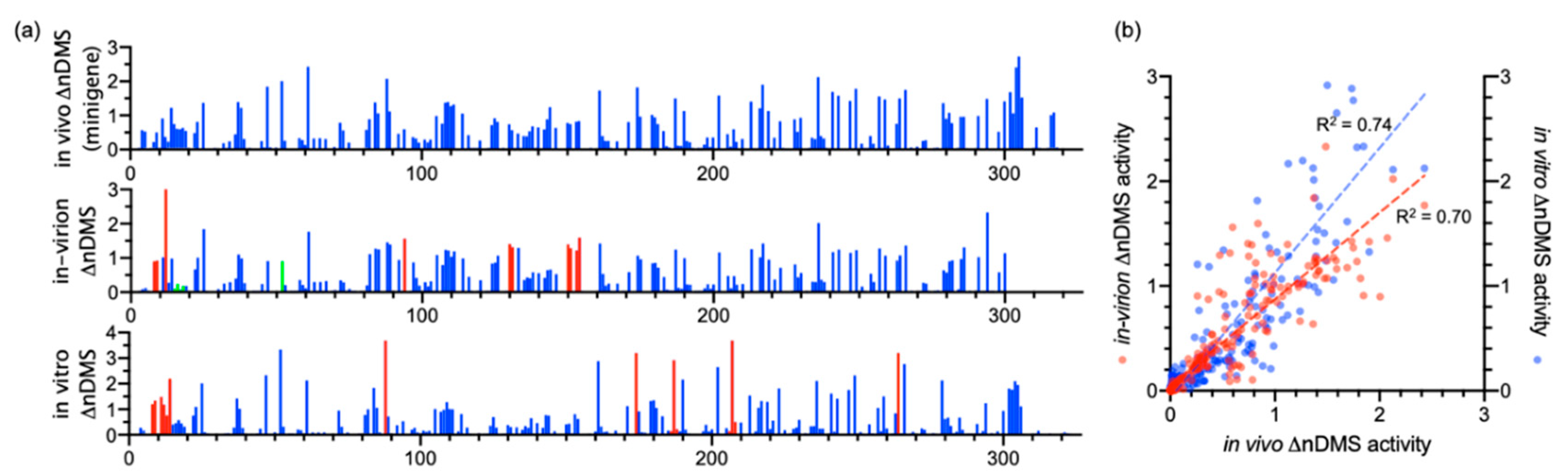 Viruses 12 01473 g002