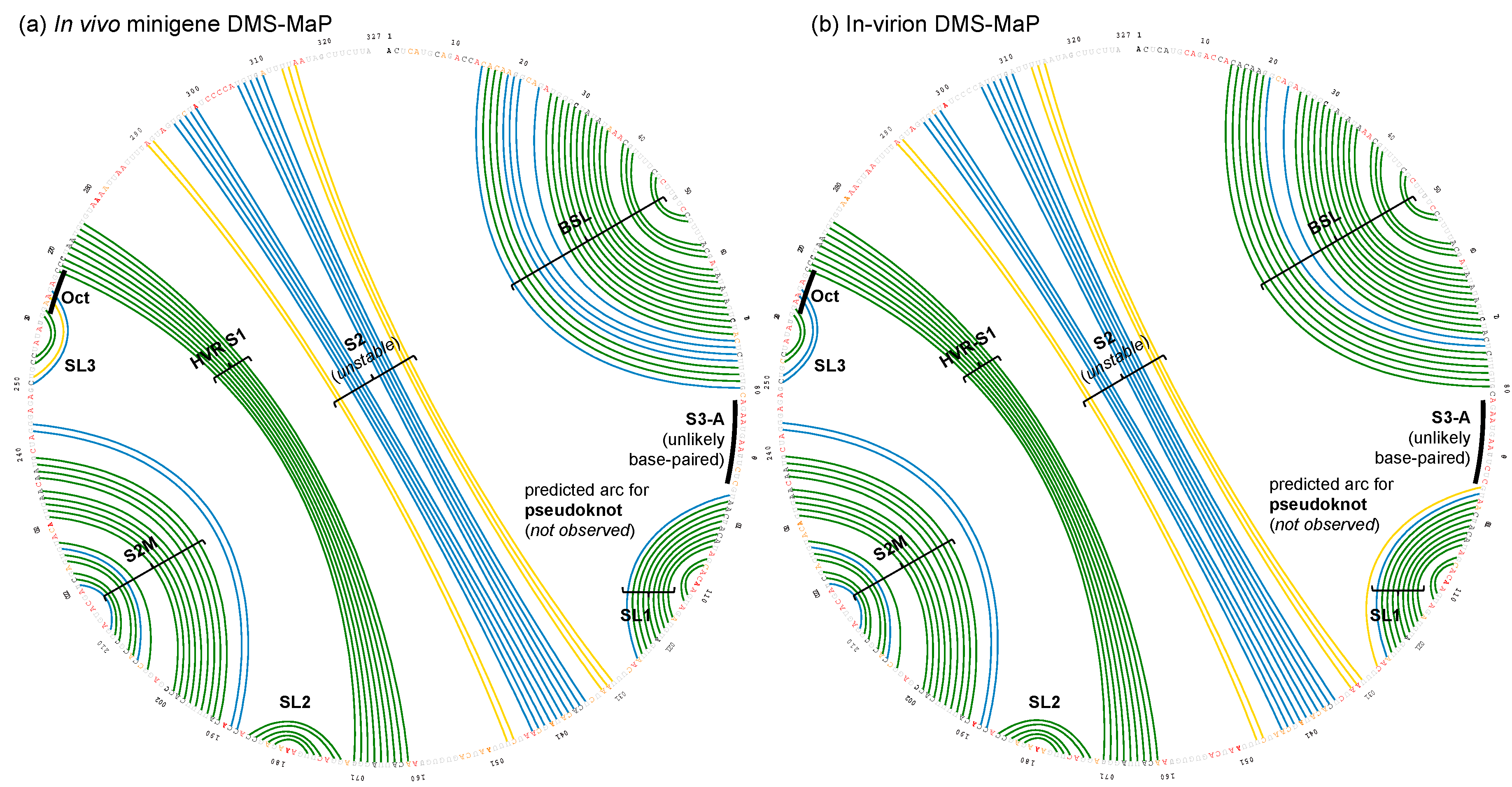 Viruses 12 01473 g003
