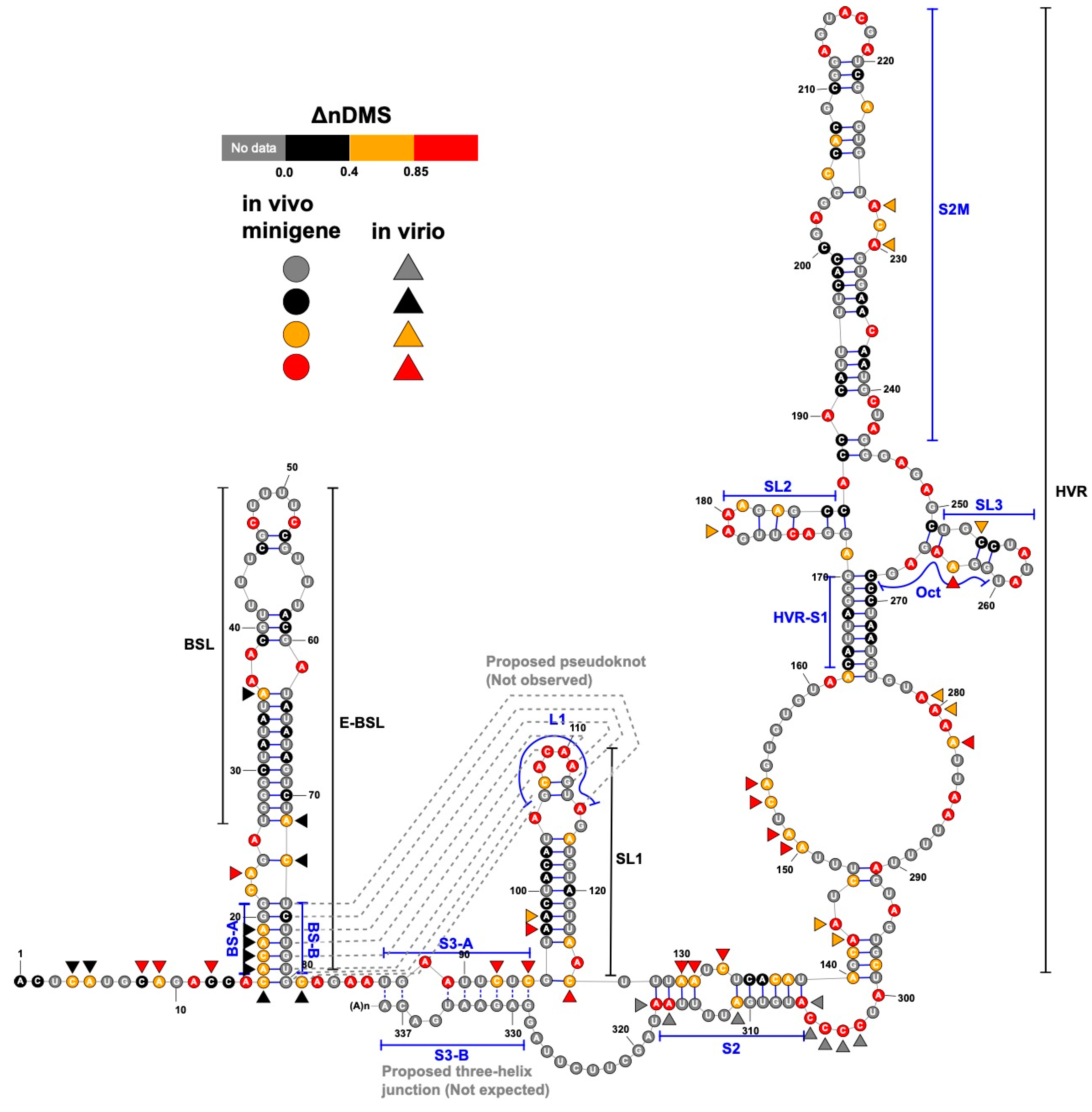 Viruses 12 01473 g004