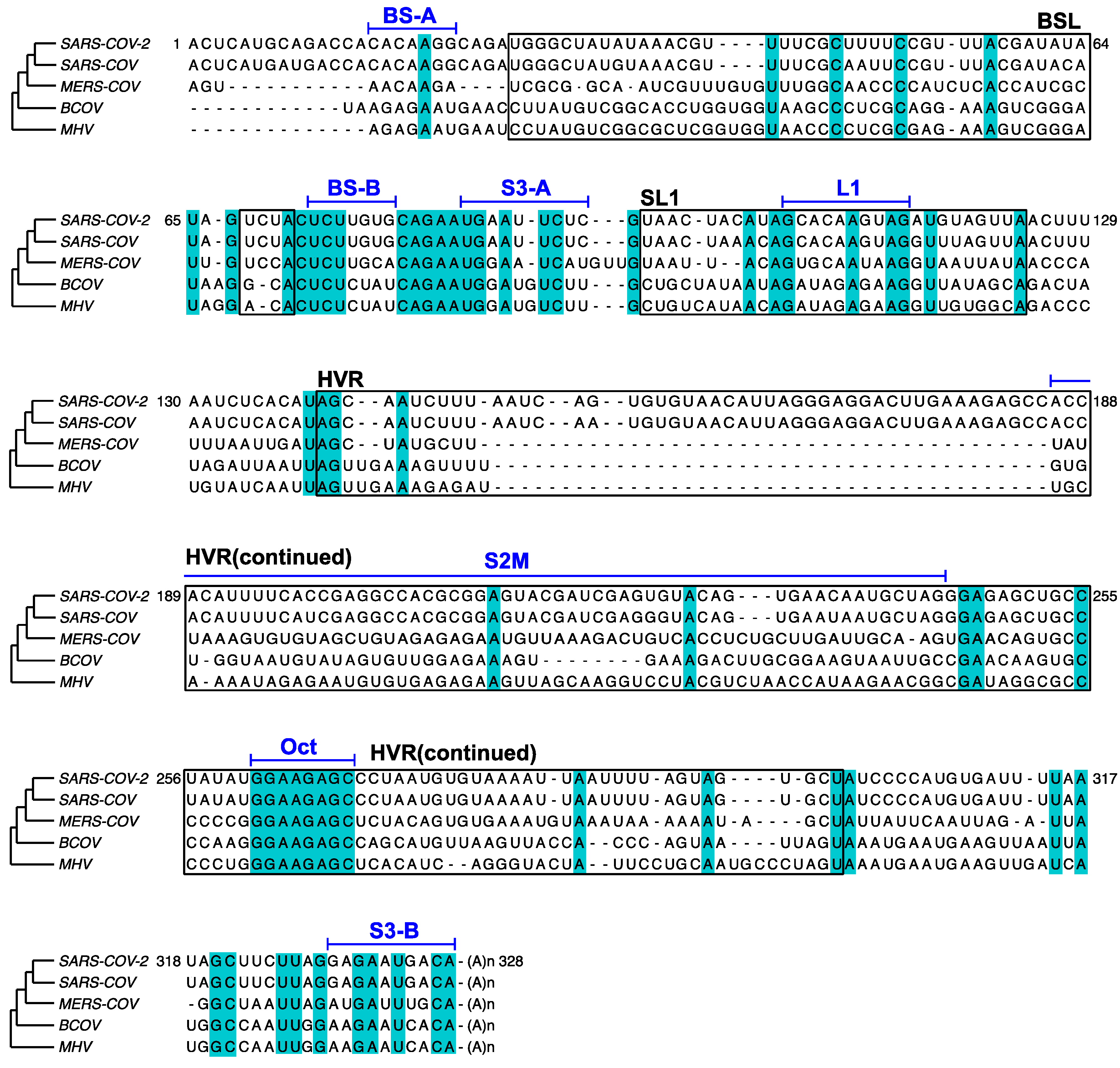 Viruses 12 01473 g006