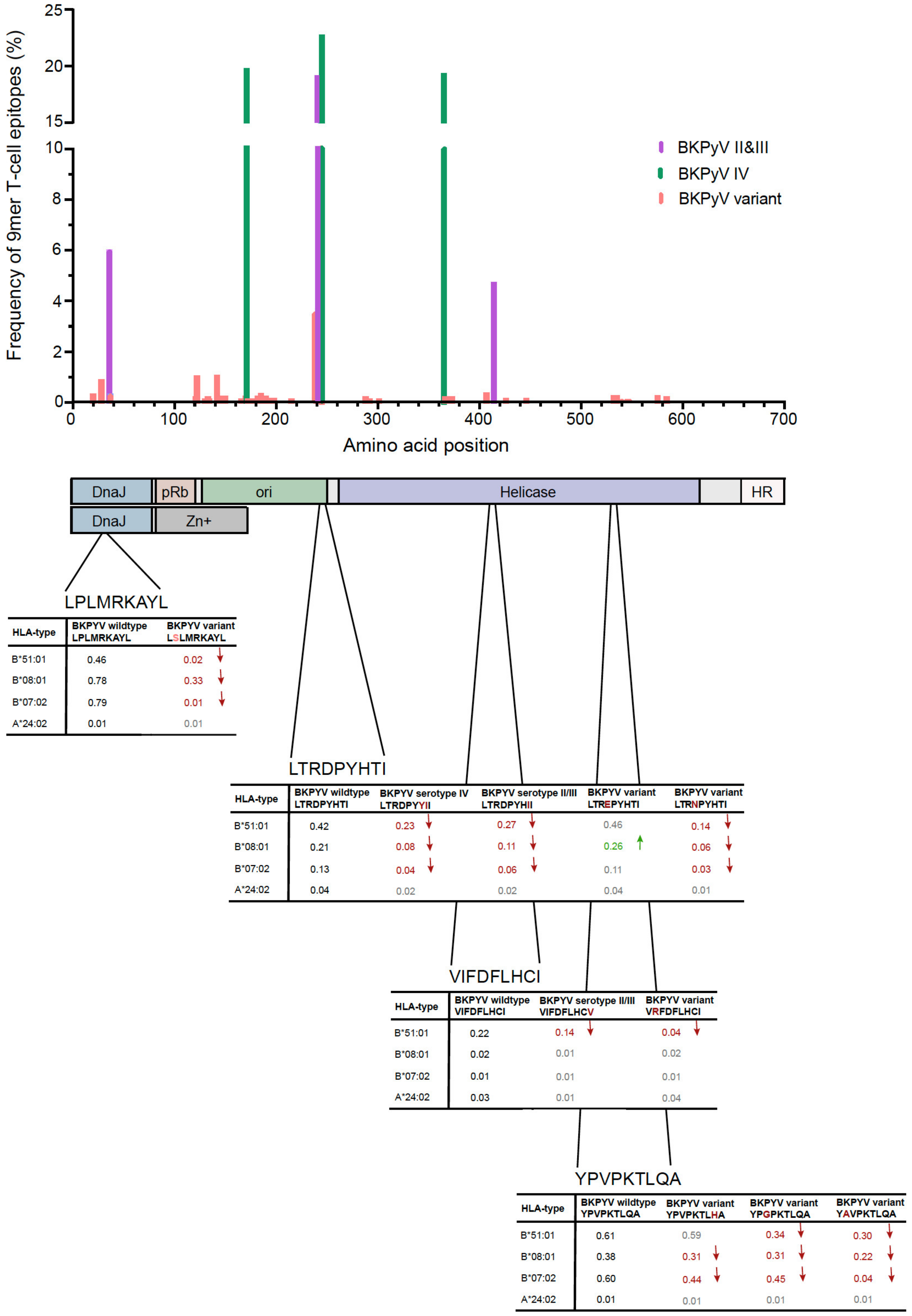 Viruses 12 01476 g004 Viruses 12 01476 g004