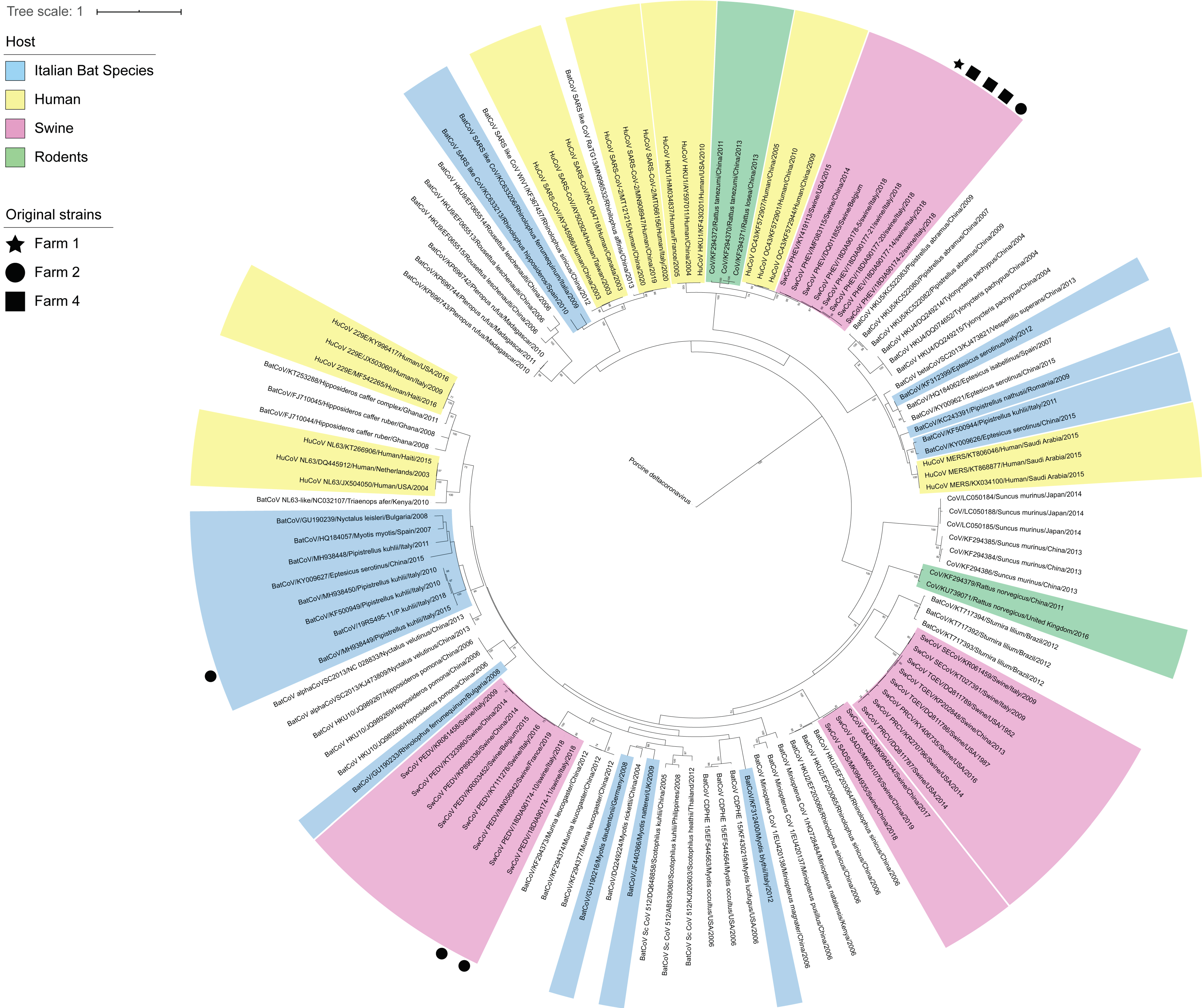 Viruses 13 00004 g002 Viruses 13 00004 g002