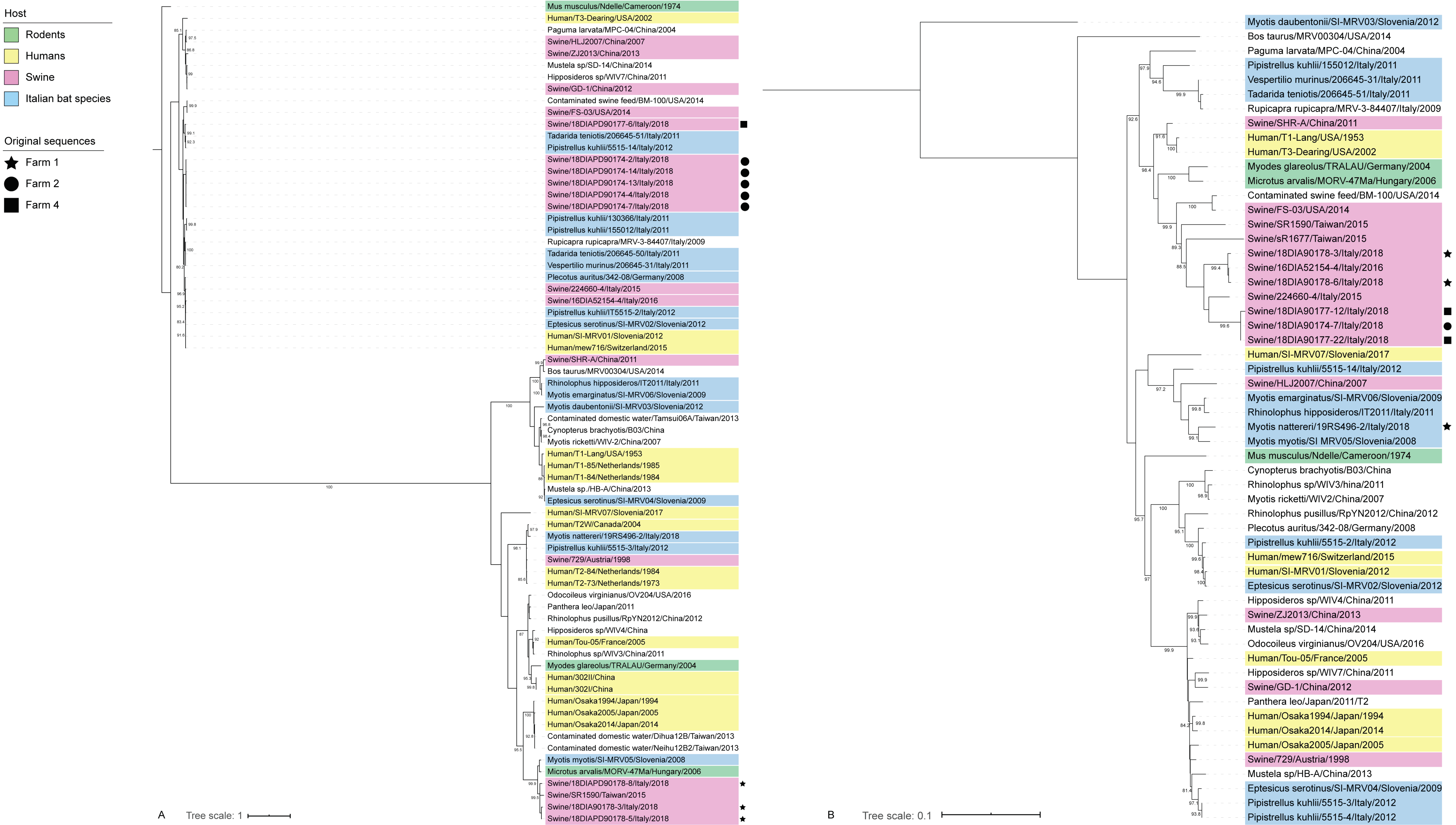 Viruses 13 00004 g004 Viruses 13 00004 g004
