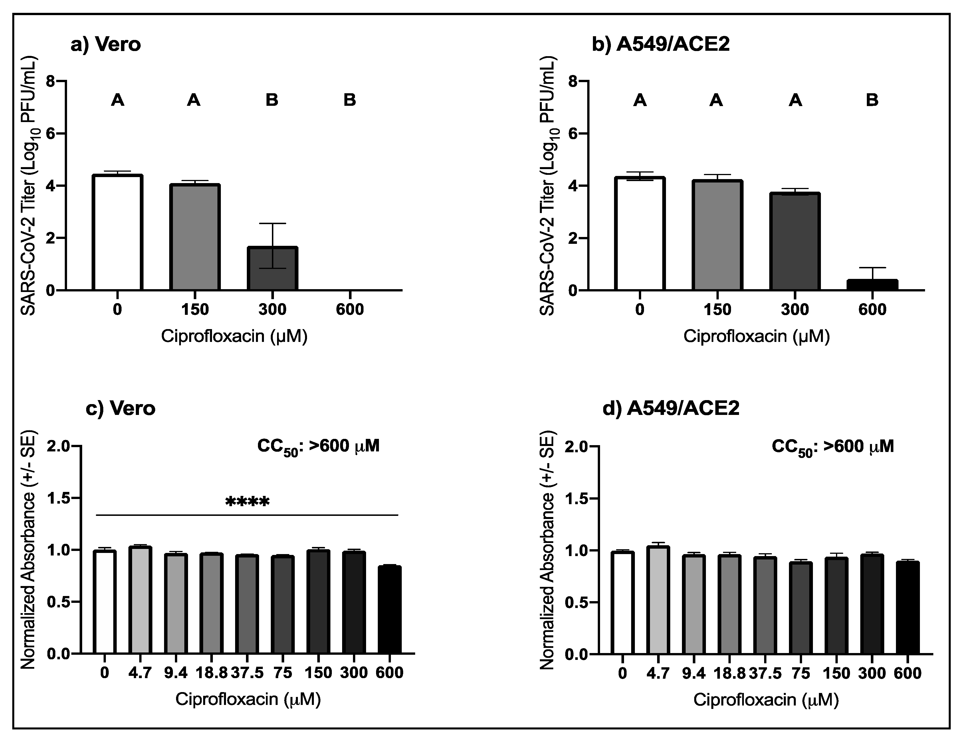 Viruses 13 00008 g002