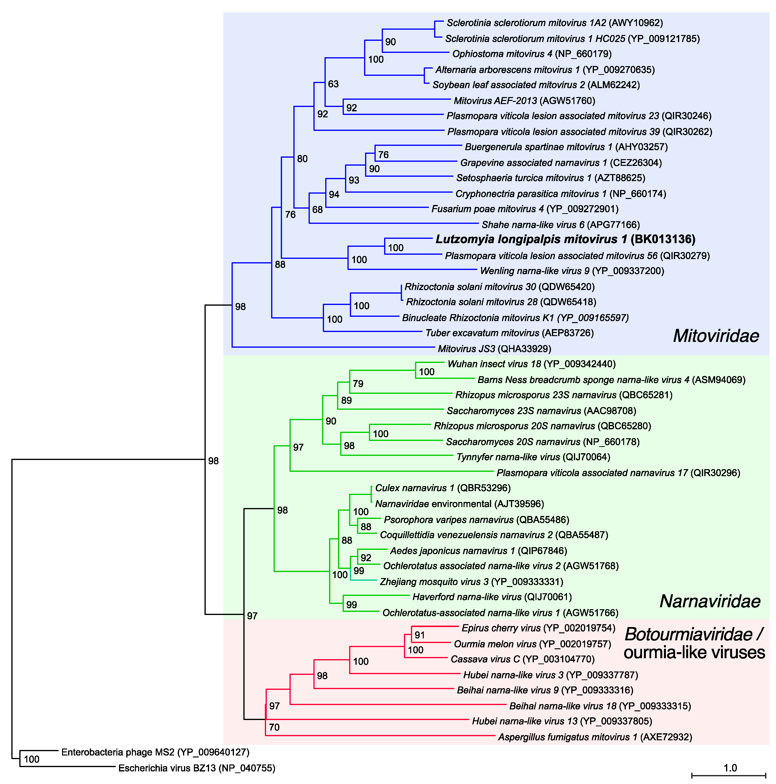 Viruses 13 00009 g002