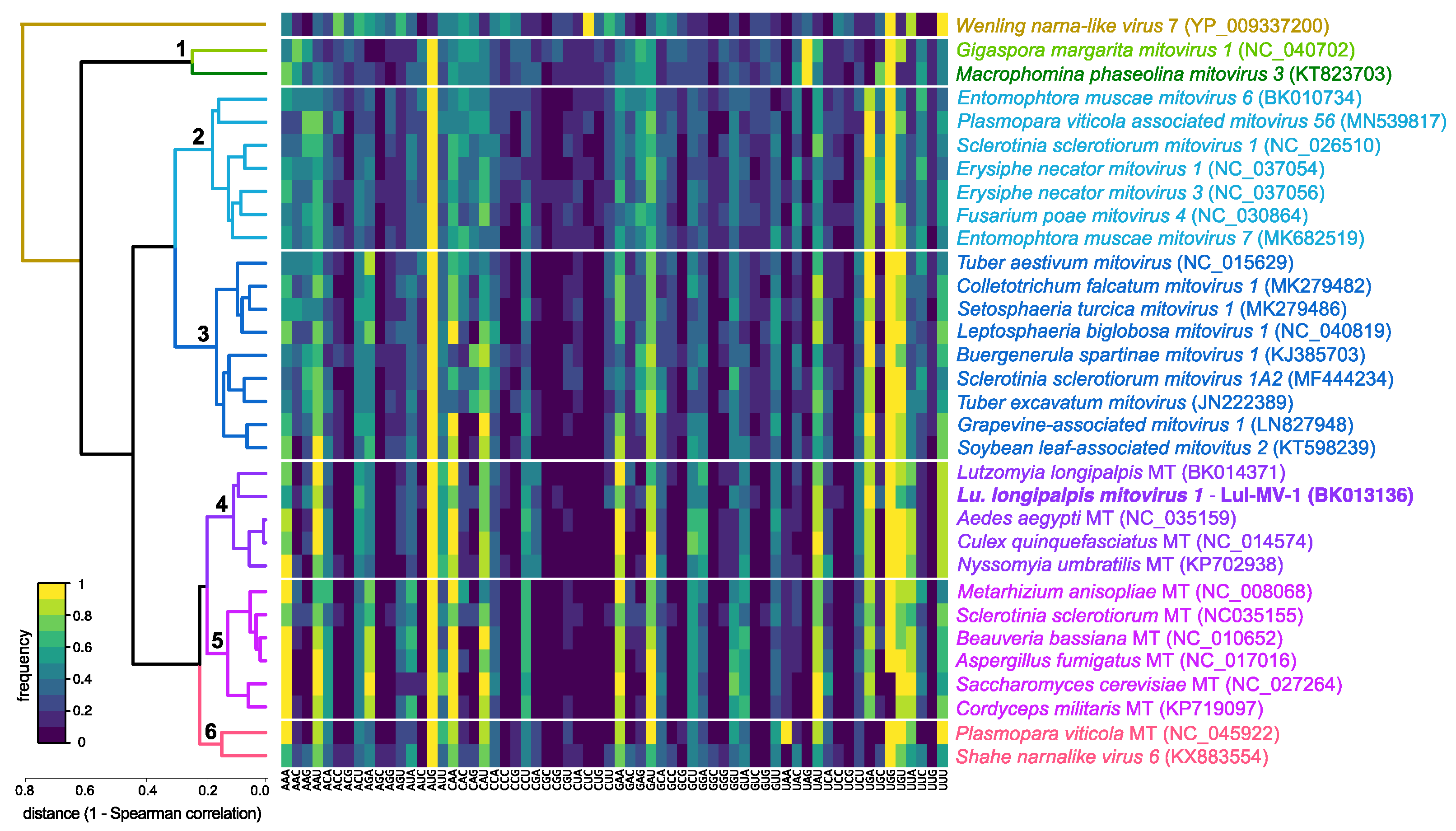 Viruses 13 00009 g005
