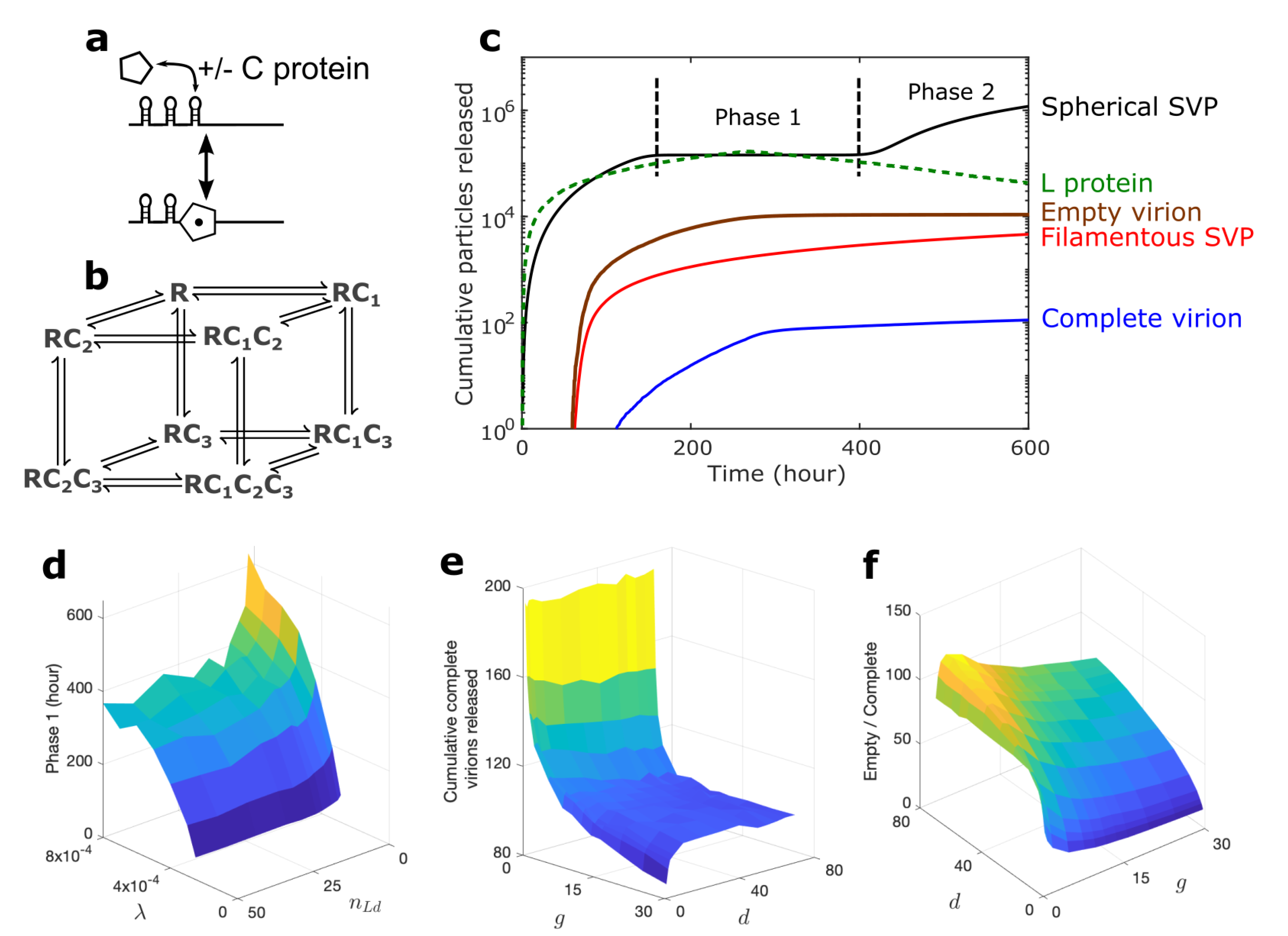 Viruses 13 00011 g003