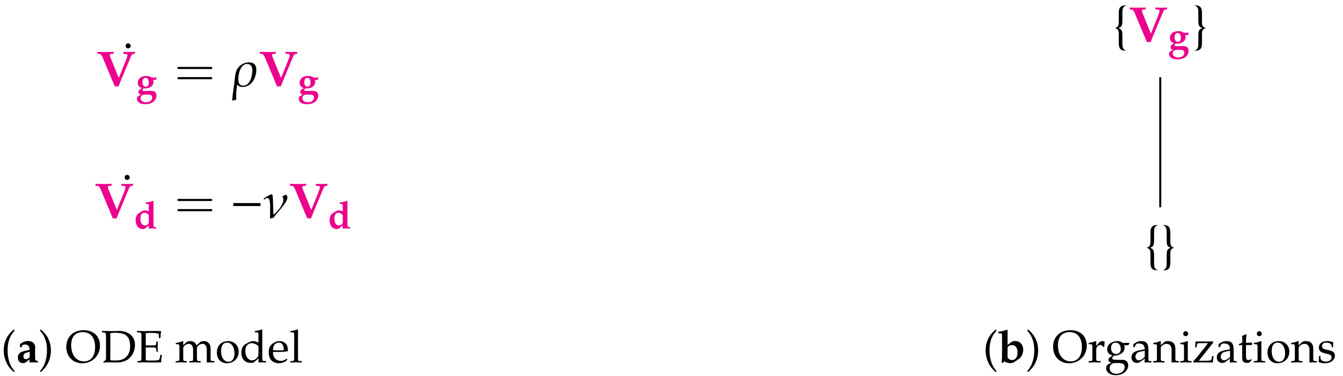 Viruses 13 00014 g003