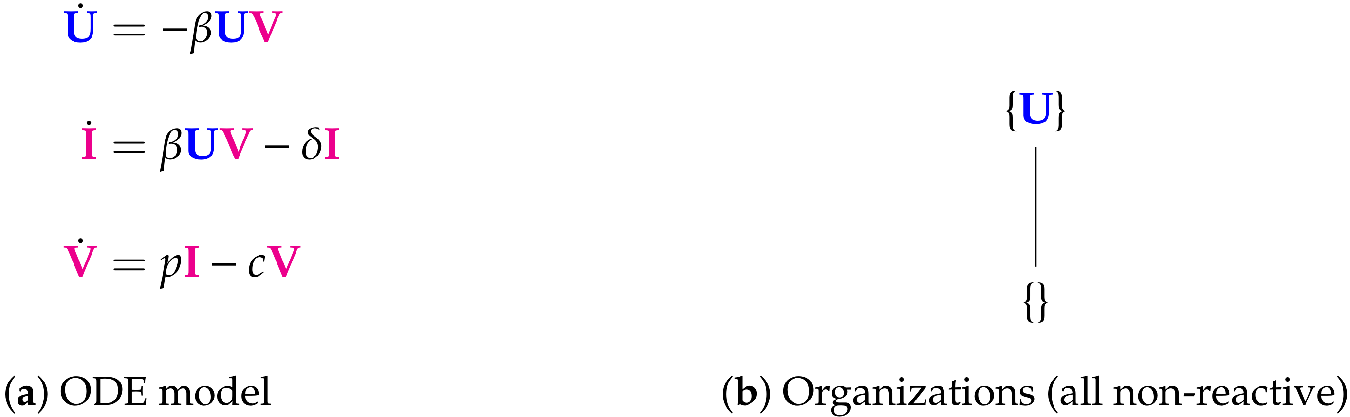 Viruses 13 00014 g005