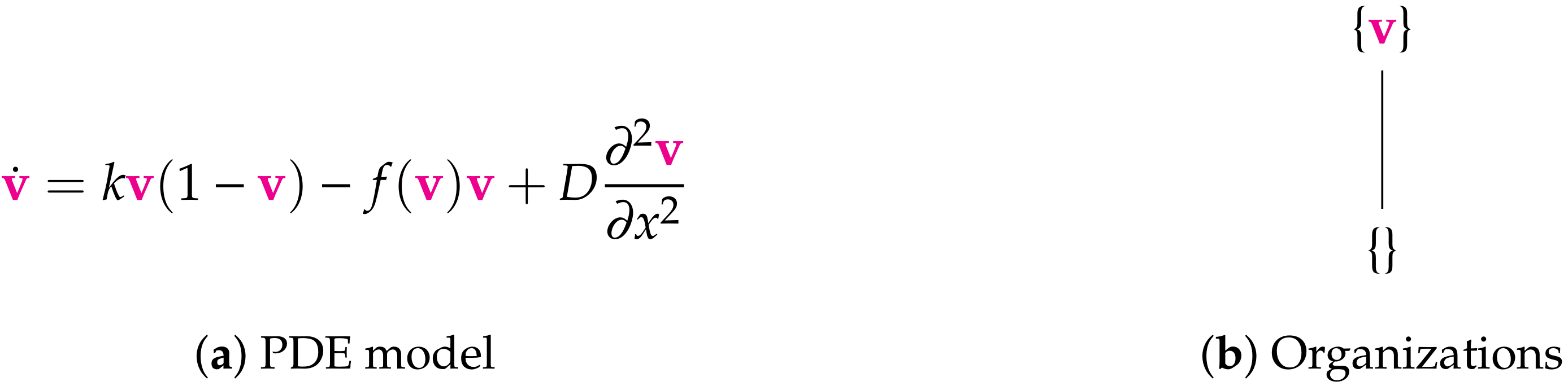 Viruses 13 00014 g007