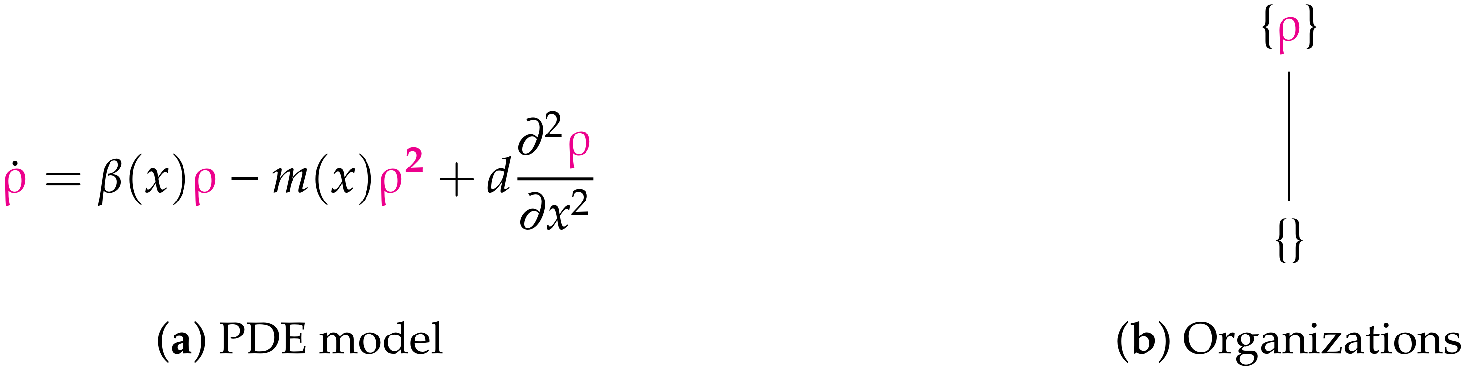 Viruses 13 00014 g012