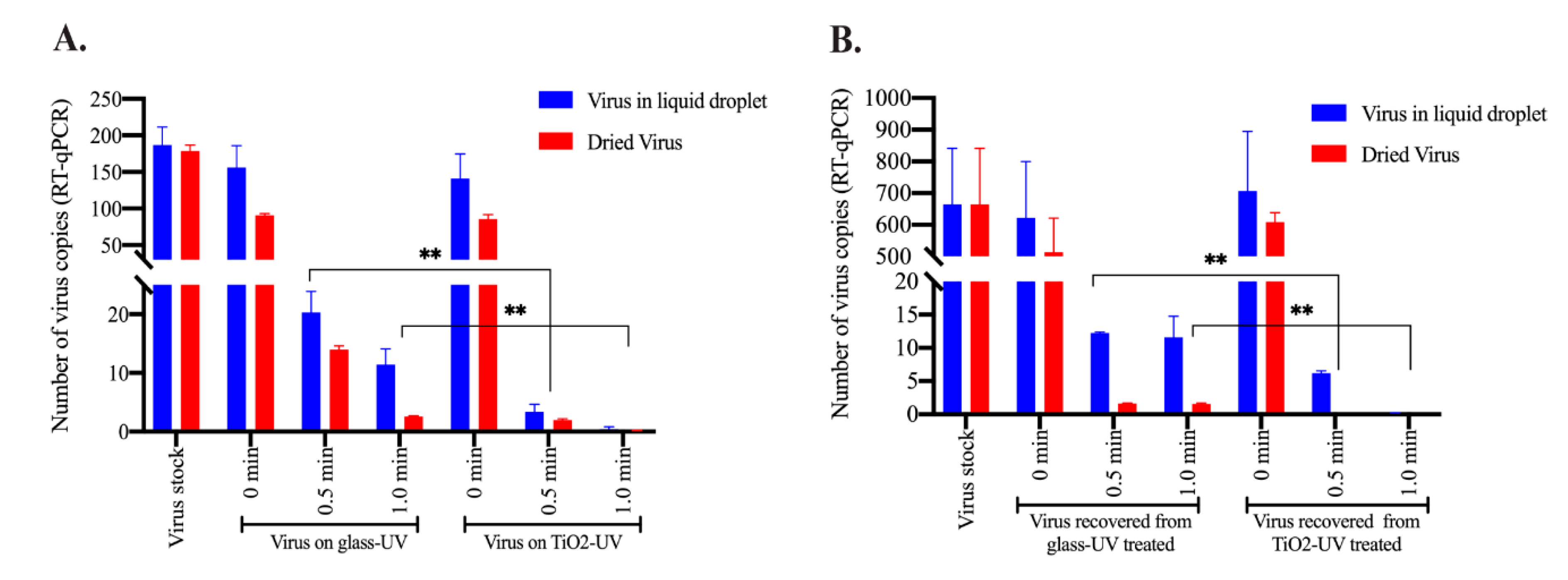Viruses 13 00019 g004 Viruses 13 00019 g004