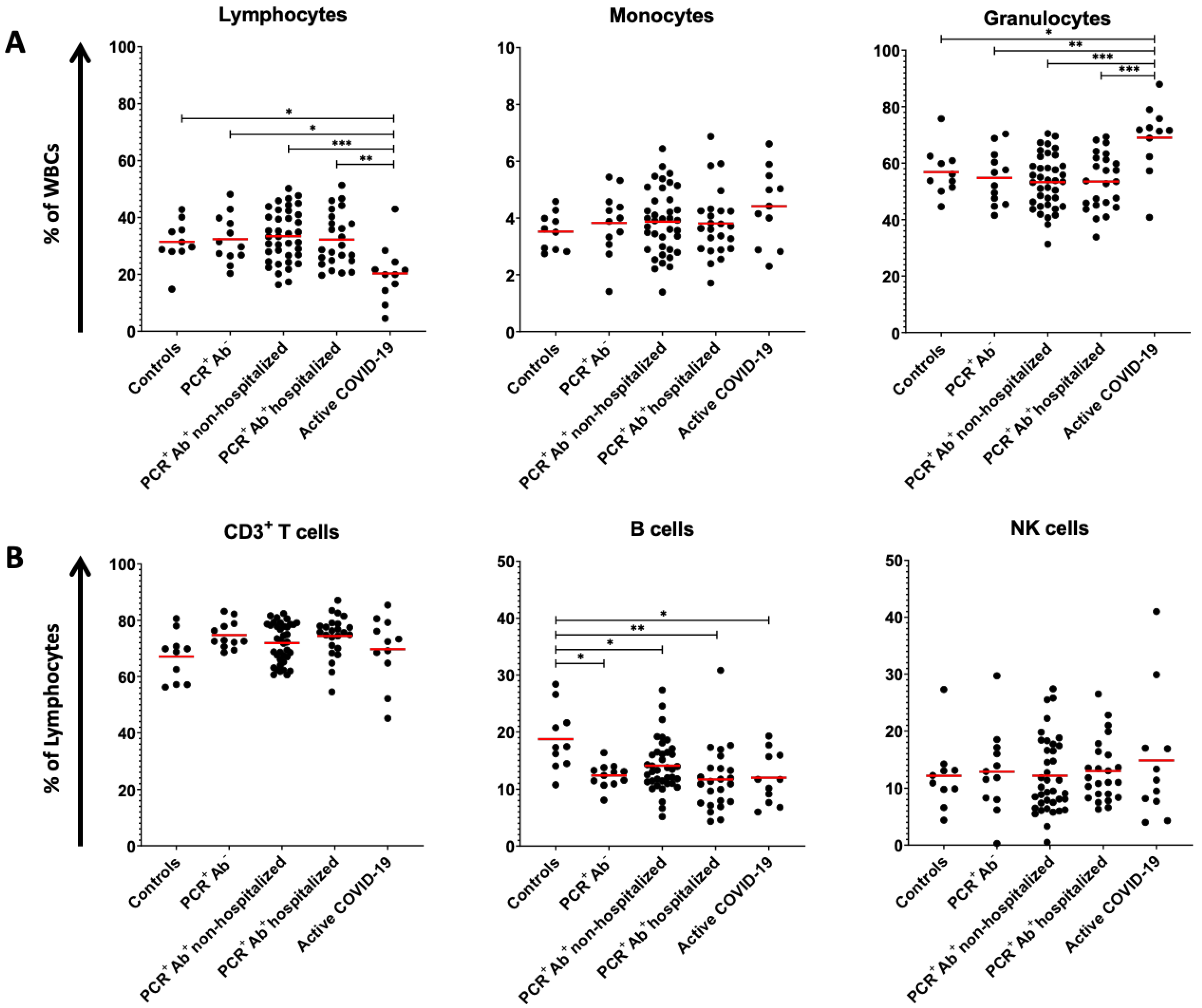Viruses 13 00026 g001