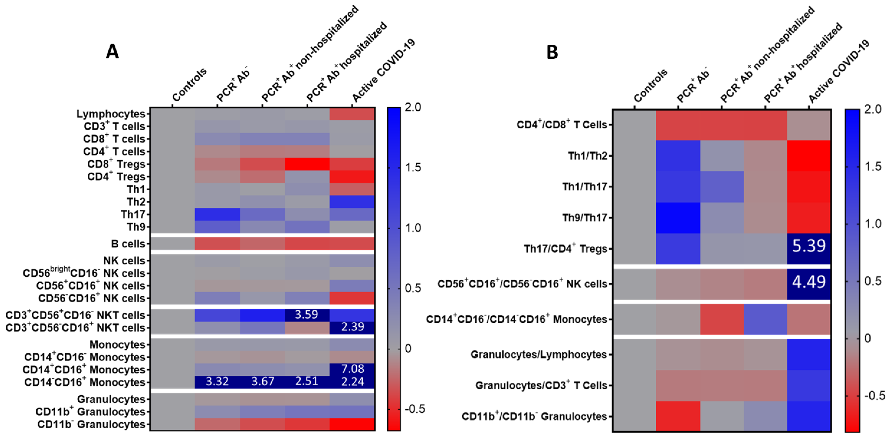 Viruses 13 00026 g003