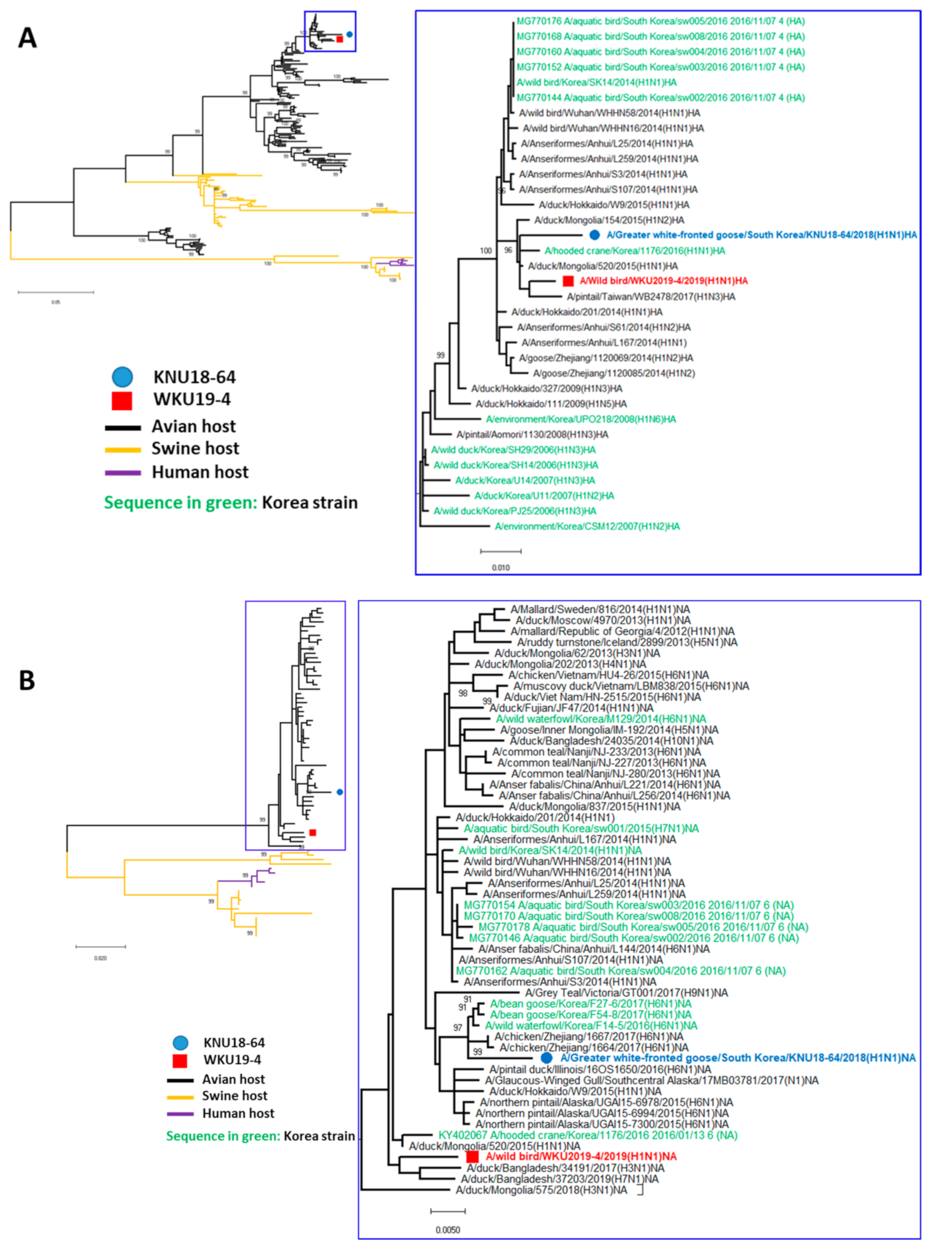 Viruses 13 00030 g002a Viruses 13 00030 g002a
