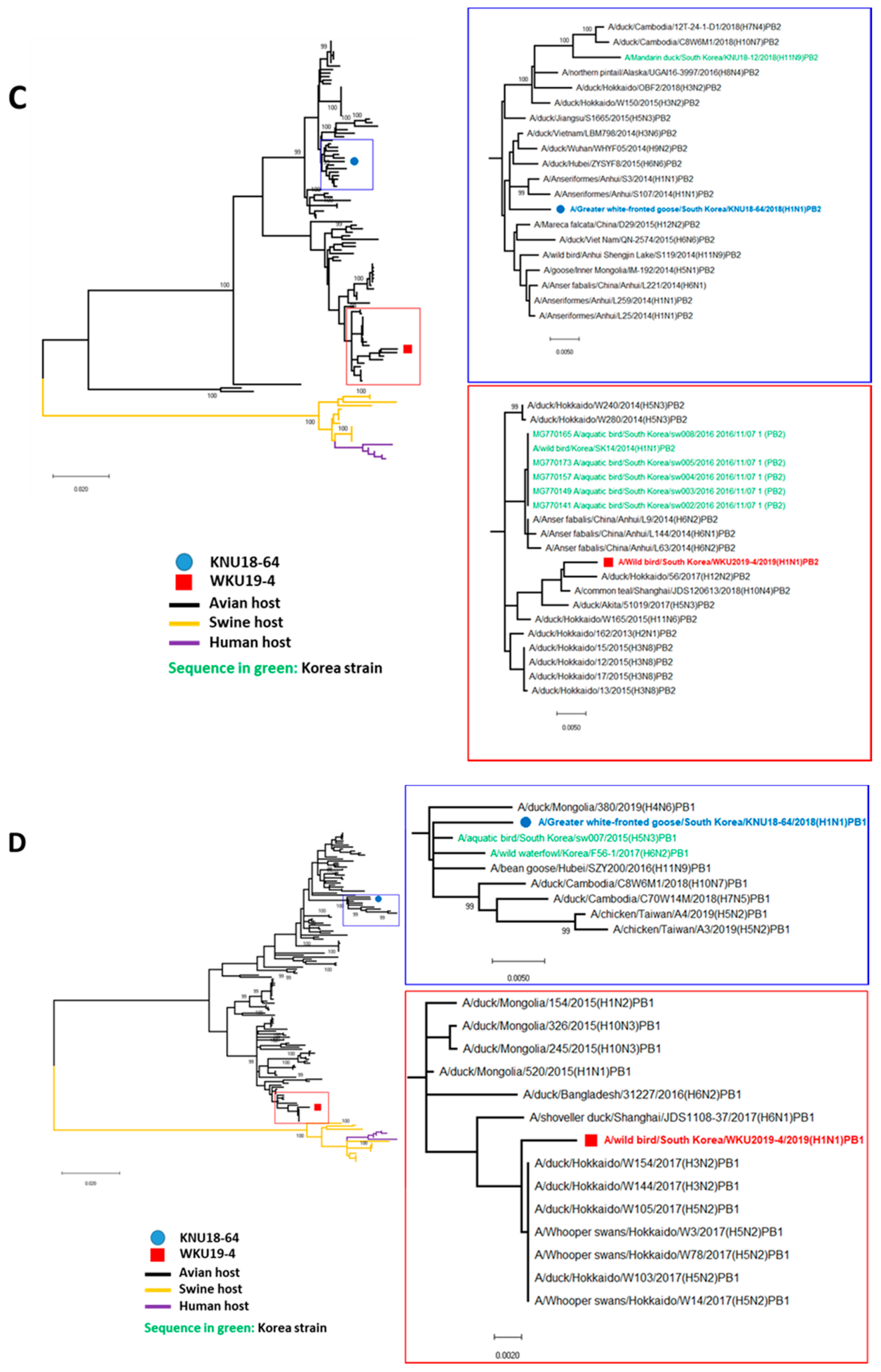Viruses 13 00030 g002b Viruses 13 00030 g002b