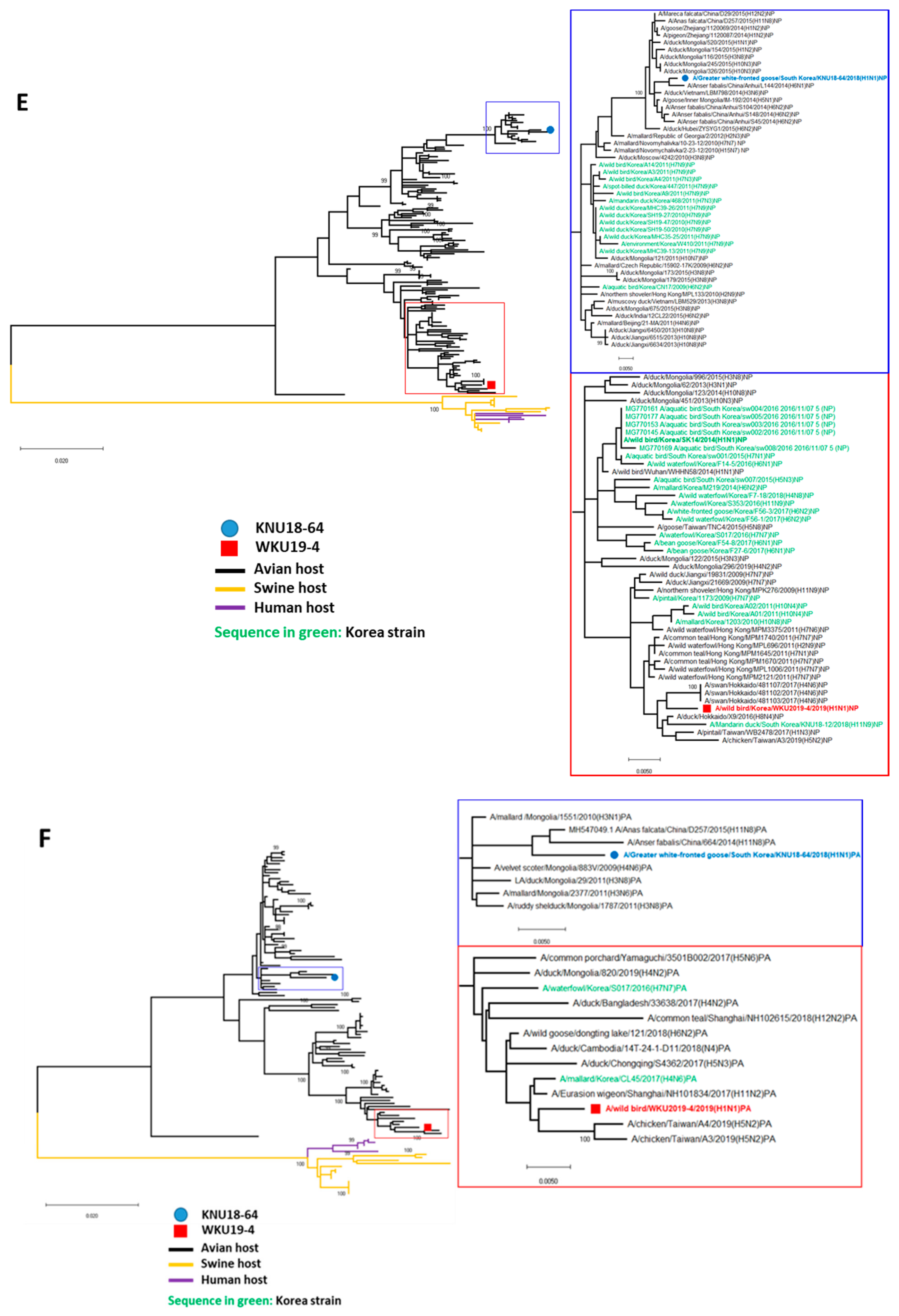 Viruses 13 00030 g002c Viruses 13 00030 g002c